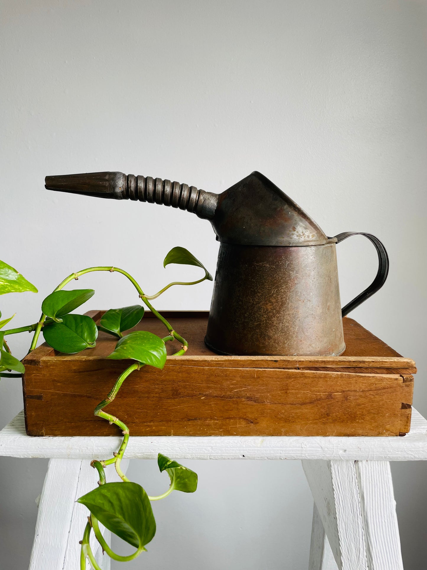Rustic Farmhouse Quart General Steel Wares Limited Oil Can with Bendable Spout & Handle - Great for Flowers!
