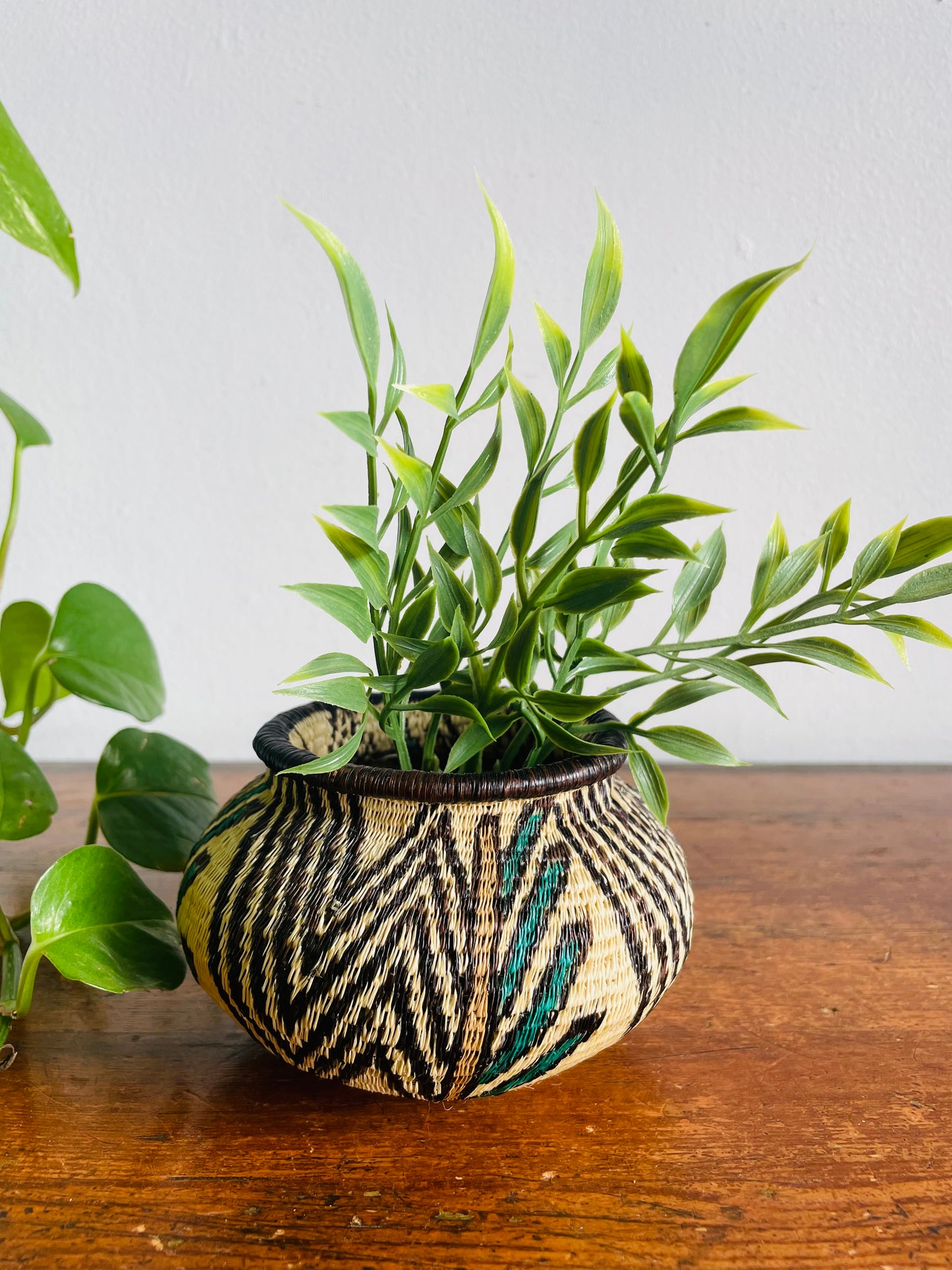 Vintage Emberá-Wounaan Panama Indigenous Tribal Woven Basket Planter