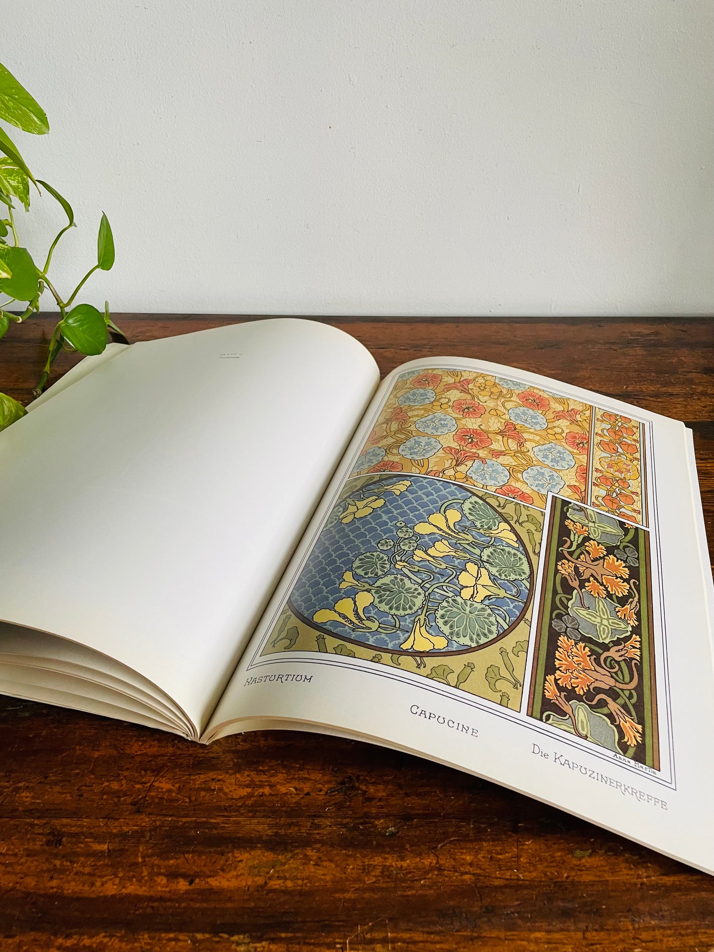 Vintage Art Nouveau Floral Designs Book by Eugene Grasset - With 40 Full Colour Plates (1988)