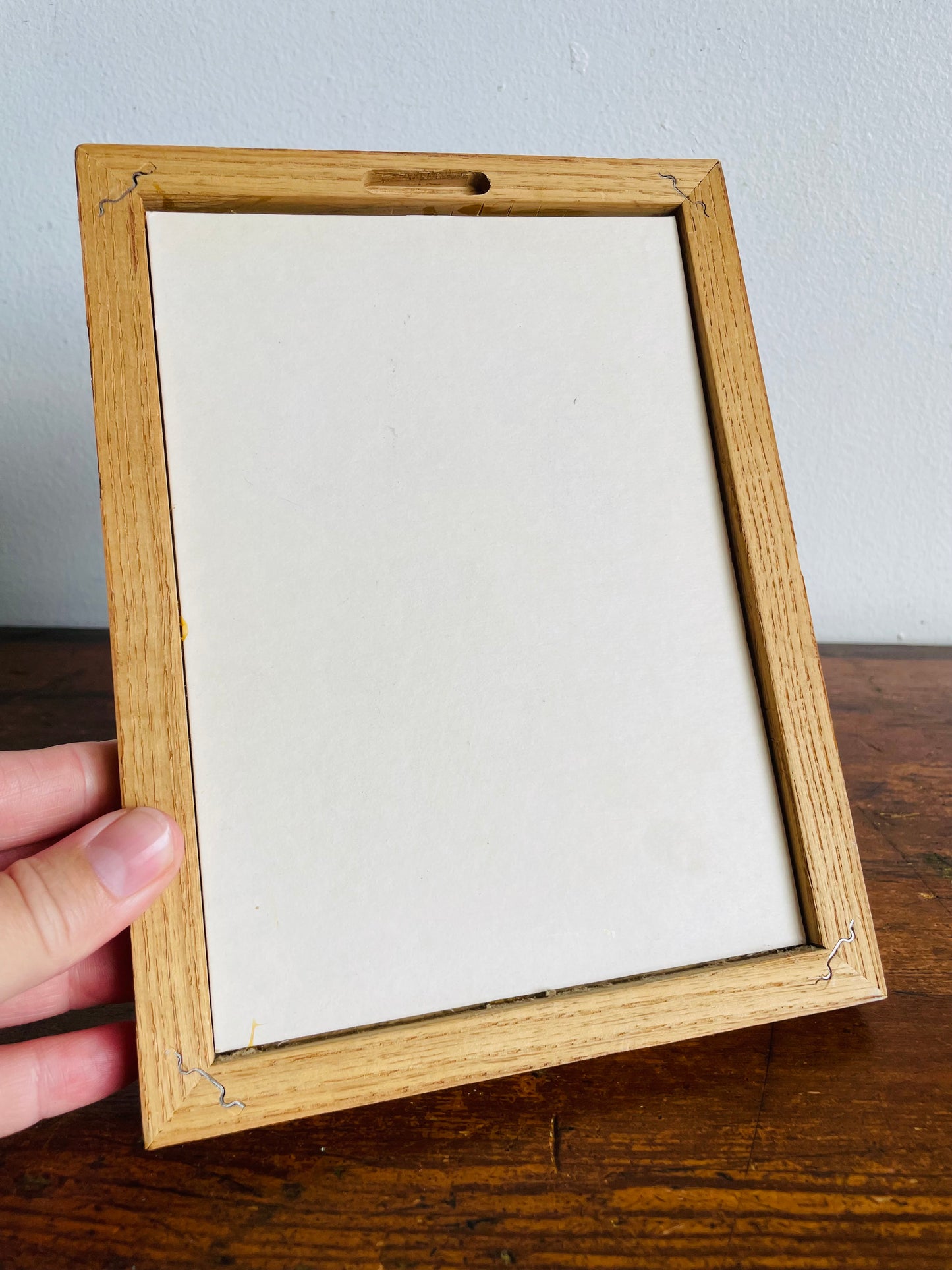 Vintage Duck Embroidery Picture - Both Can't Look Good. It's ME or the House.