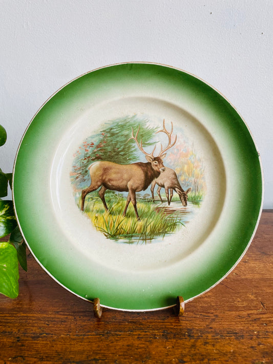 Antique Buffalo Pottery Plate with Elk in Forest Along Stream Nature Design - Includes Optional Plate Hanger