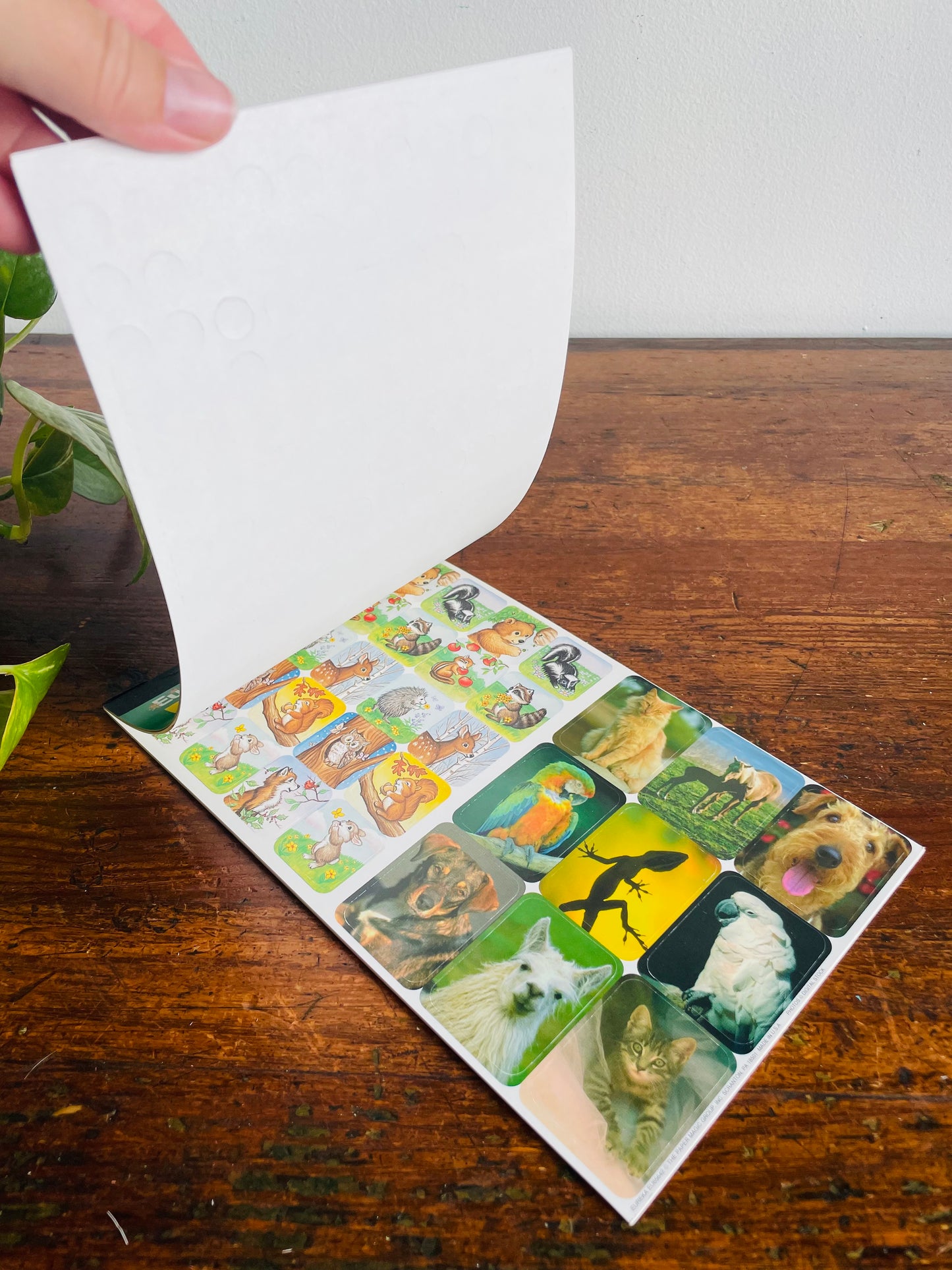 Brand New Vintage School Teacher Classroom Supplies - Eureka Animal Sticker Book - Includes 528 Stickers / 8 Sheets