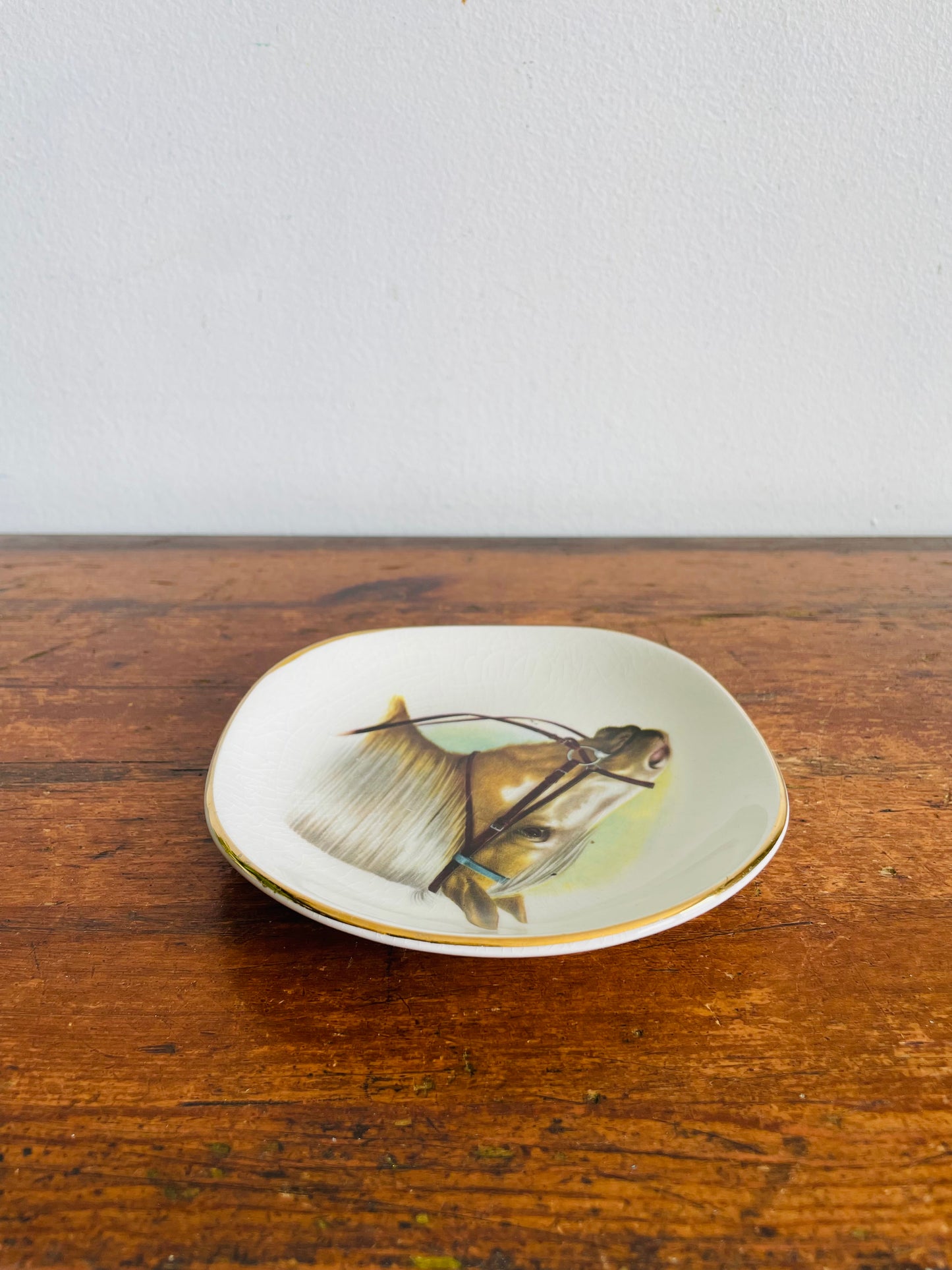 Vintage Weatherby Hanley England Royal Falcon Ware Trinket Dish or Wall Hanging Plate with Equestrian Horse Head Design - Includes Optional Plate Hanger