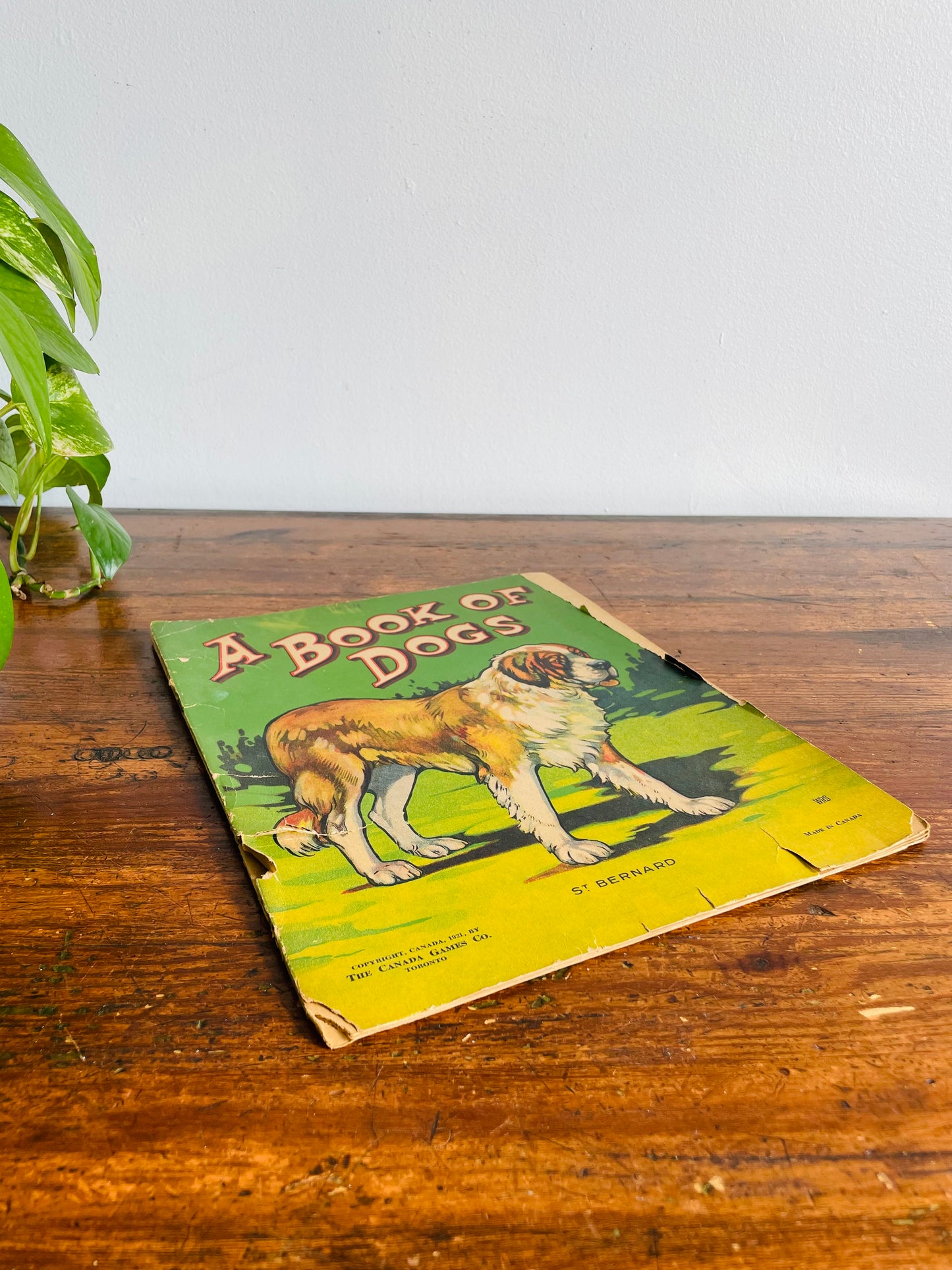 Antique A Book of Dogs - The Canada Games Co. (1921) - Fantastic Illustrations for Prints & Framing!