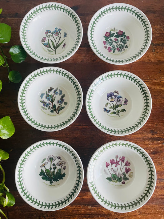 Portmeirion Susan Williams-Ellis Botanic Garden 6.5" Bowls - Set of 6 - Made in Britain