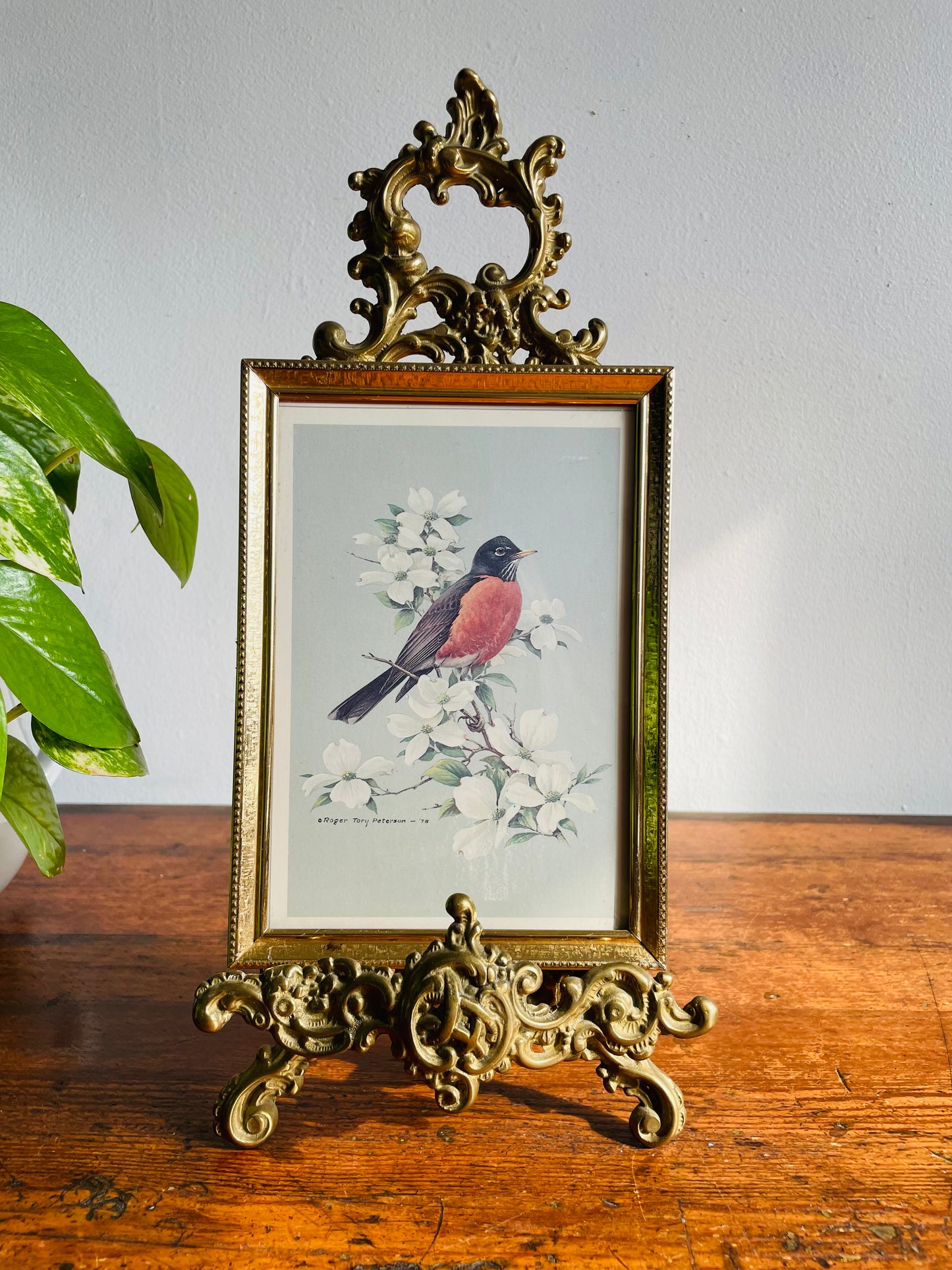 Robin Bird & Flowers Print in Brass Frame - Roger Tory Peterson 1978