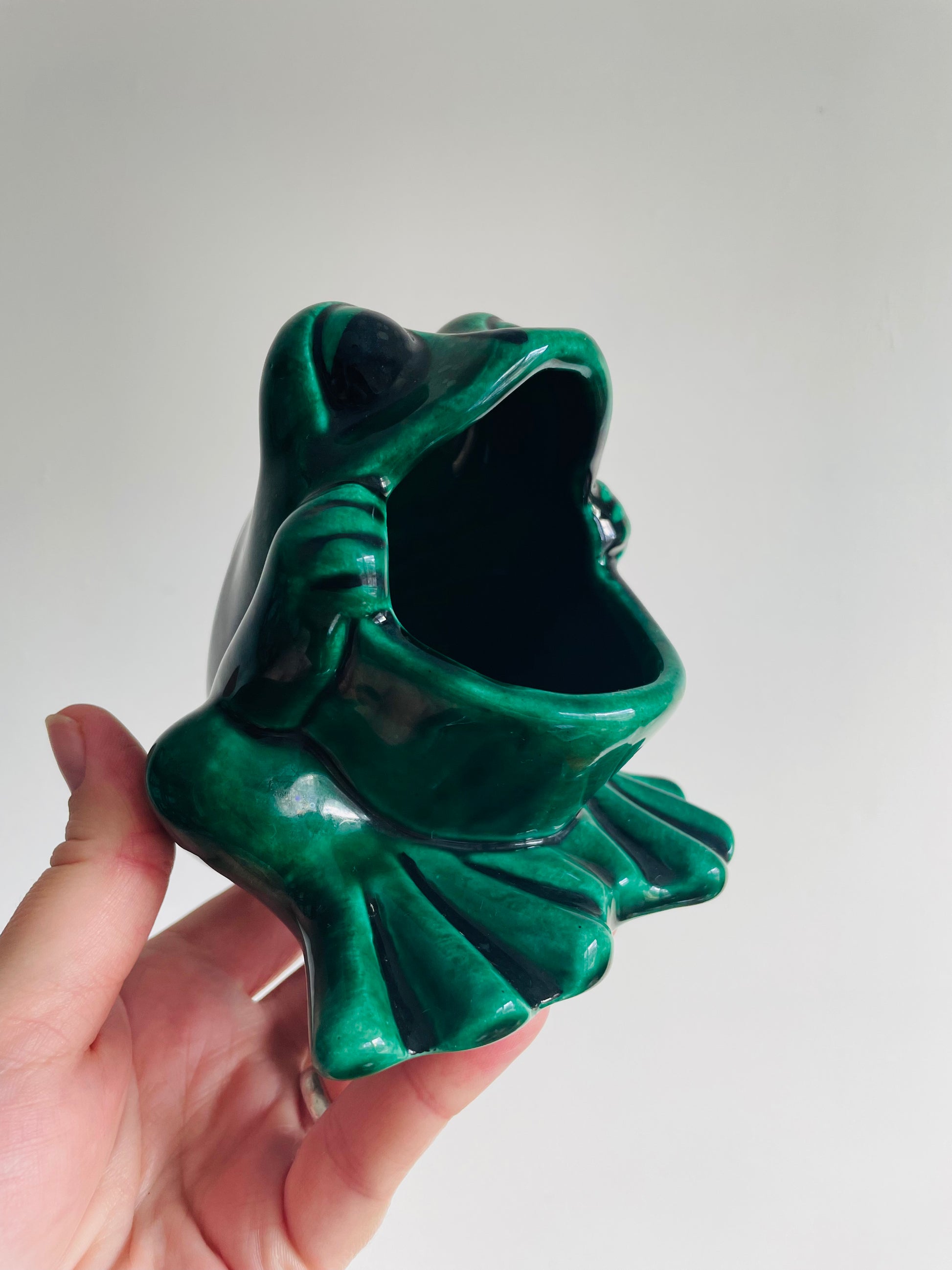 Frog Scrubbie Sponge Holder