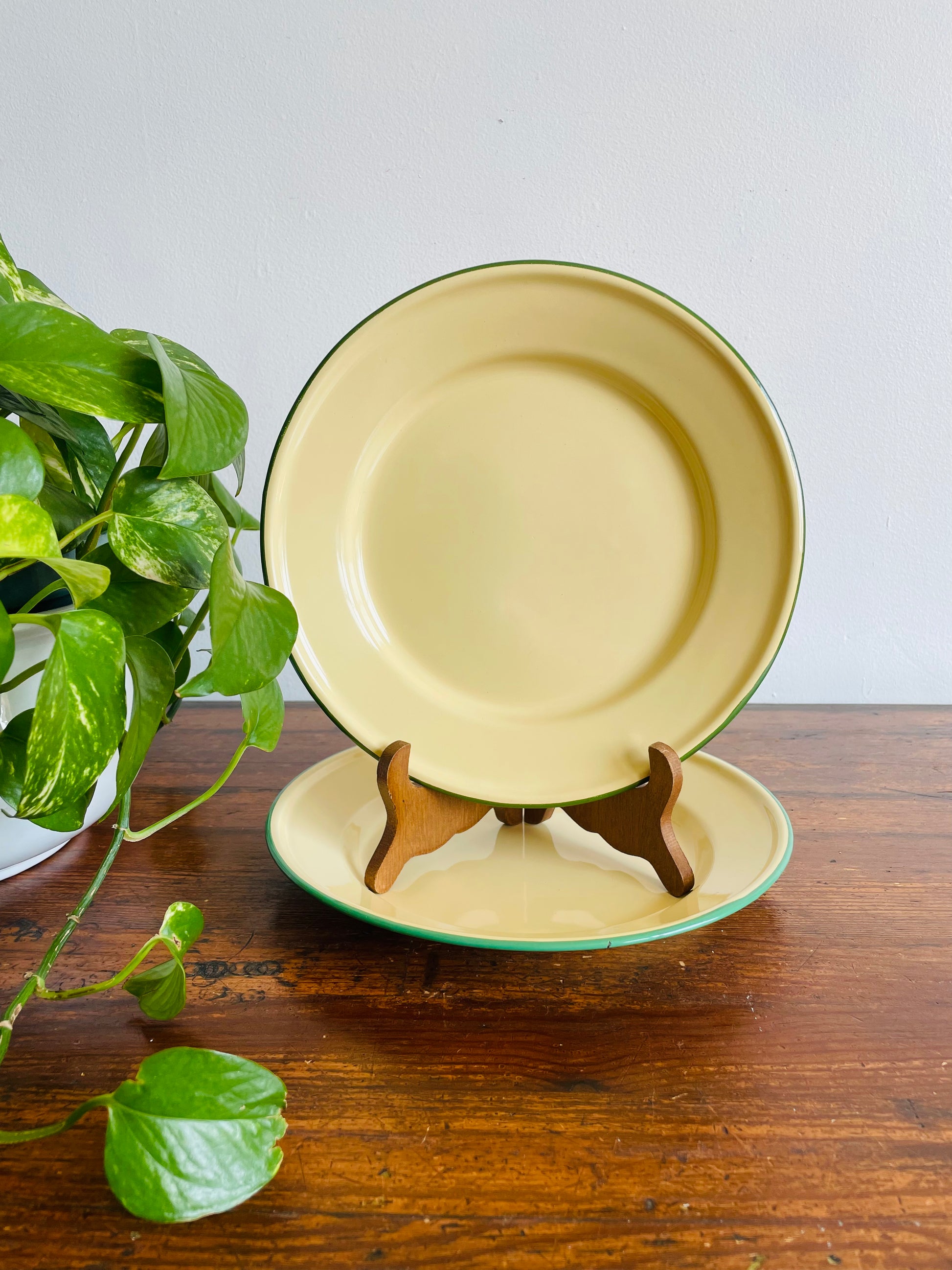 Vintage Goldfish & Peacock Brand Enamelware Plates - Pale Yellow with Green  Rims - Set of 2