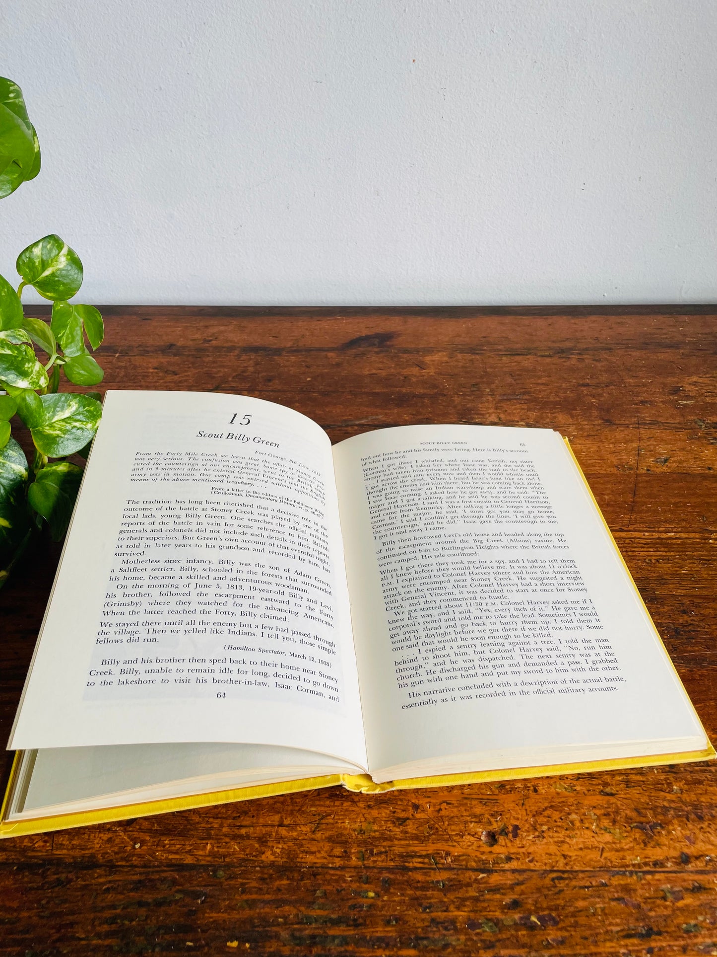 Vintage Hamilton: The Story of a City Clothbound Hardcover Book - A Centennial Project by Hamilton Board of Education - Louis C. Evans / Ryerson Press (1970)