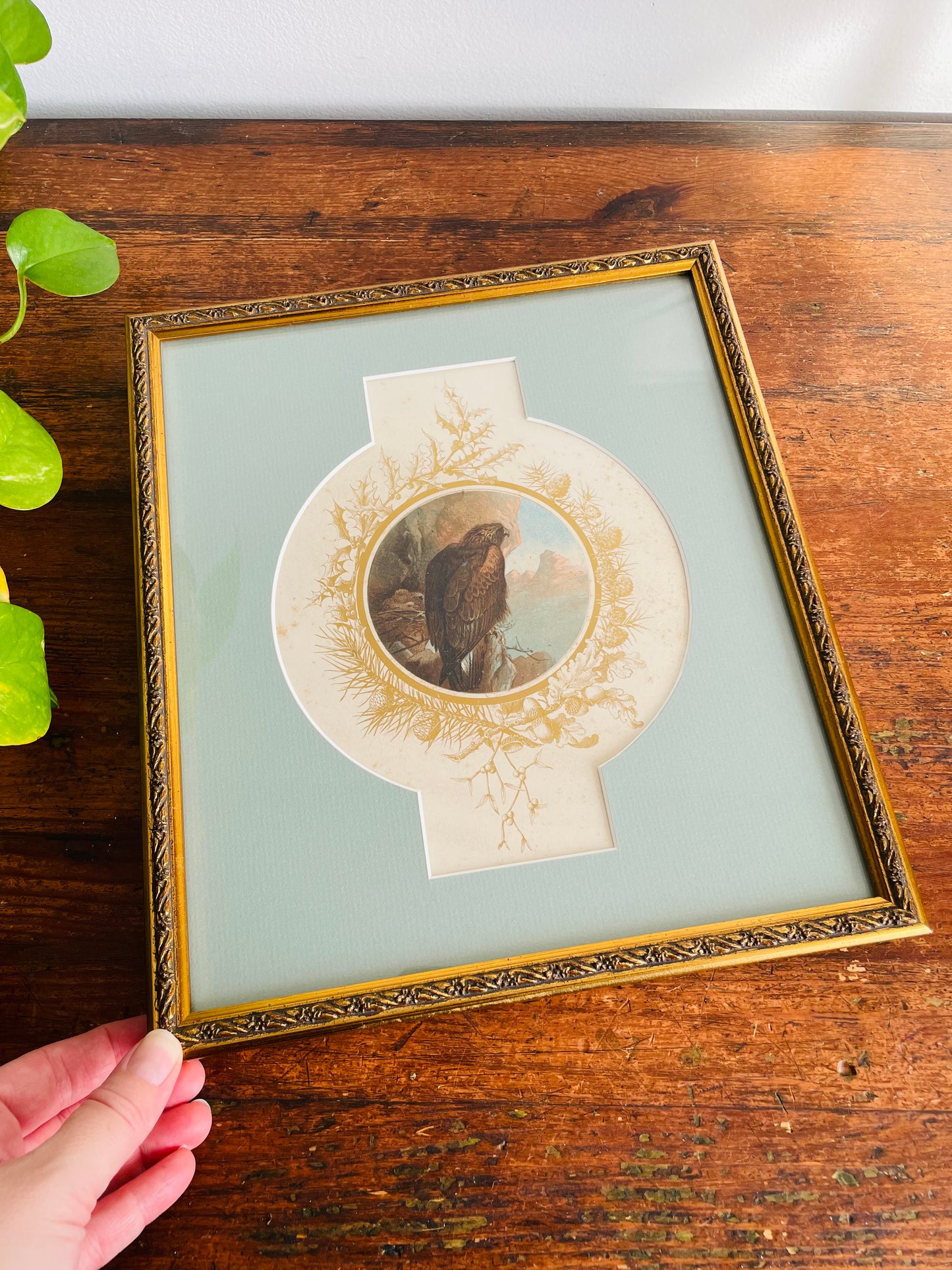 Vintage Illustrated Print Picture of Golden Eagle Bird with Chicks in Nest Overlooking Mountains - Gold Frame & Details, Unique Mat & Professionally Framed - Stunning Colours!