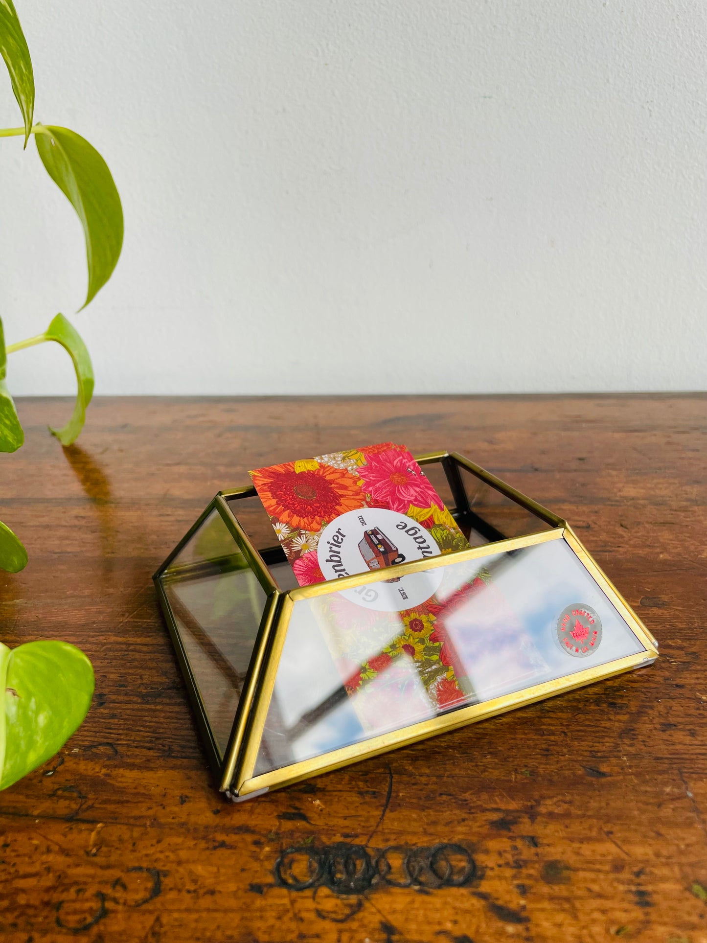 Brass Mirrored Box Holder - Great for Business Cards, Air Plants, Etc. - Made in Canada