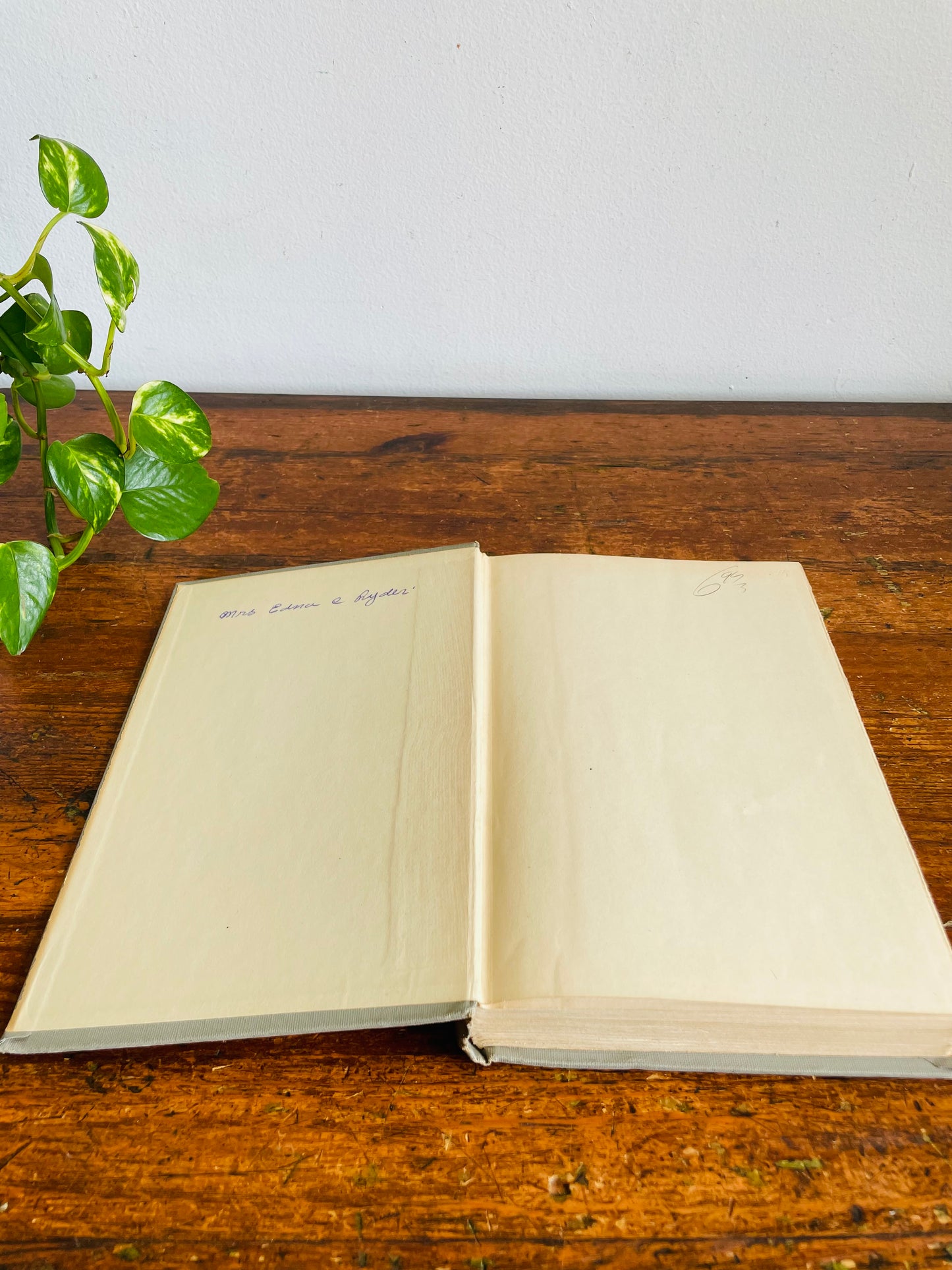 Vintage Robinson Crusoe Hardcover Book by Daniel Defoe - Illustrated by Fritz Kredel (1945)