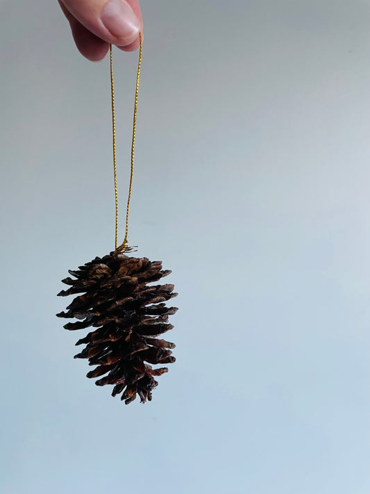 Pinecone Ornaments - Set of 9