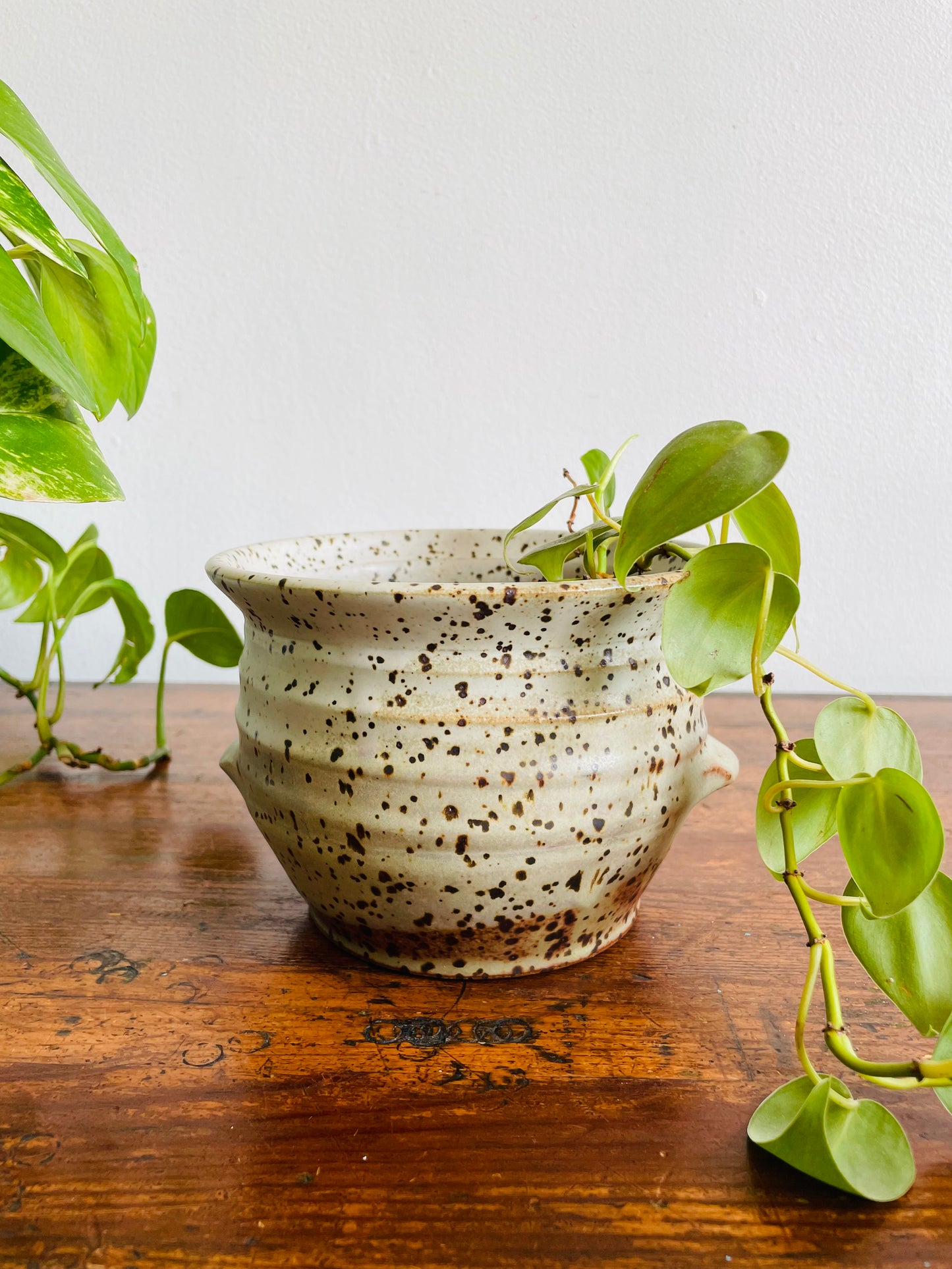 Studio Pottery Speckled Planter Pot with Groove Handles