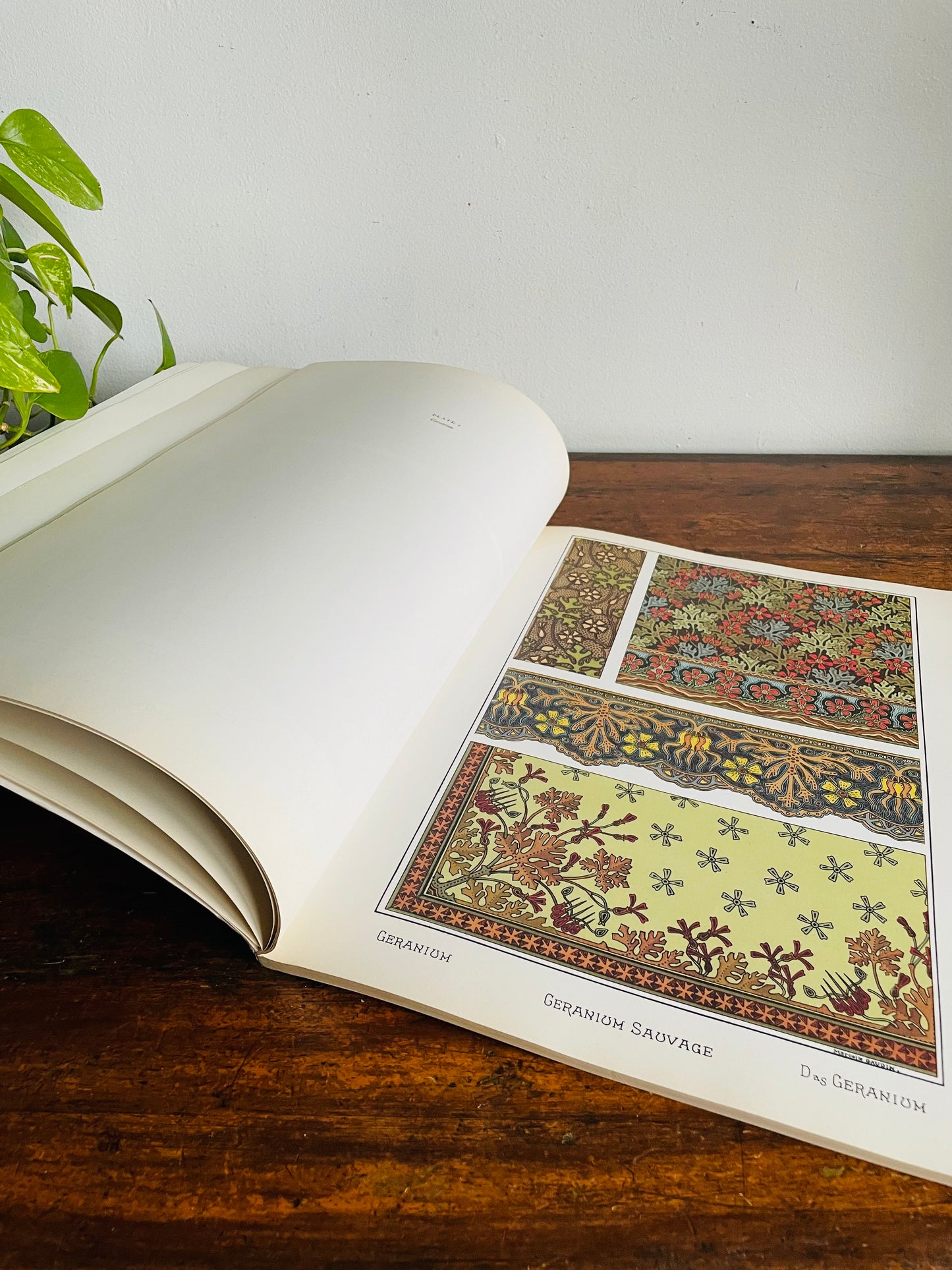 Vintage Art Nouveau Floral Designs Book by Eugene Grasset - With 40 Full Colour Plates (1988)