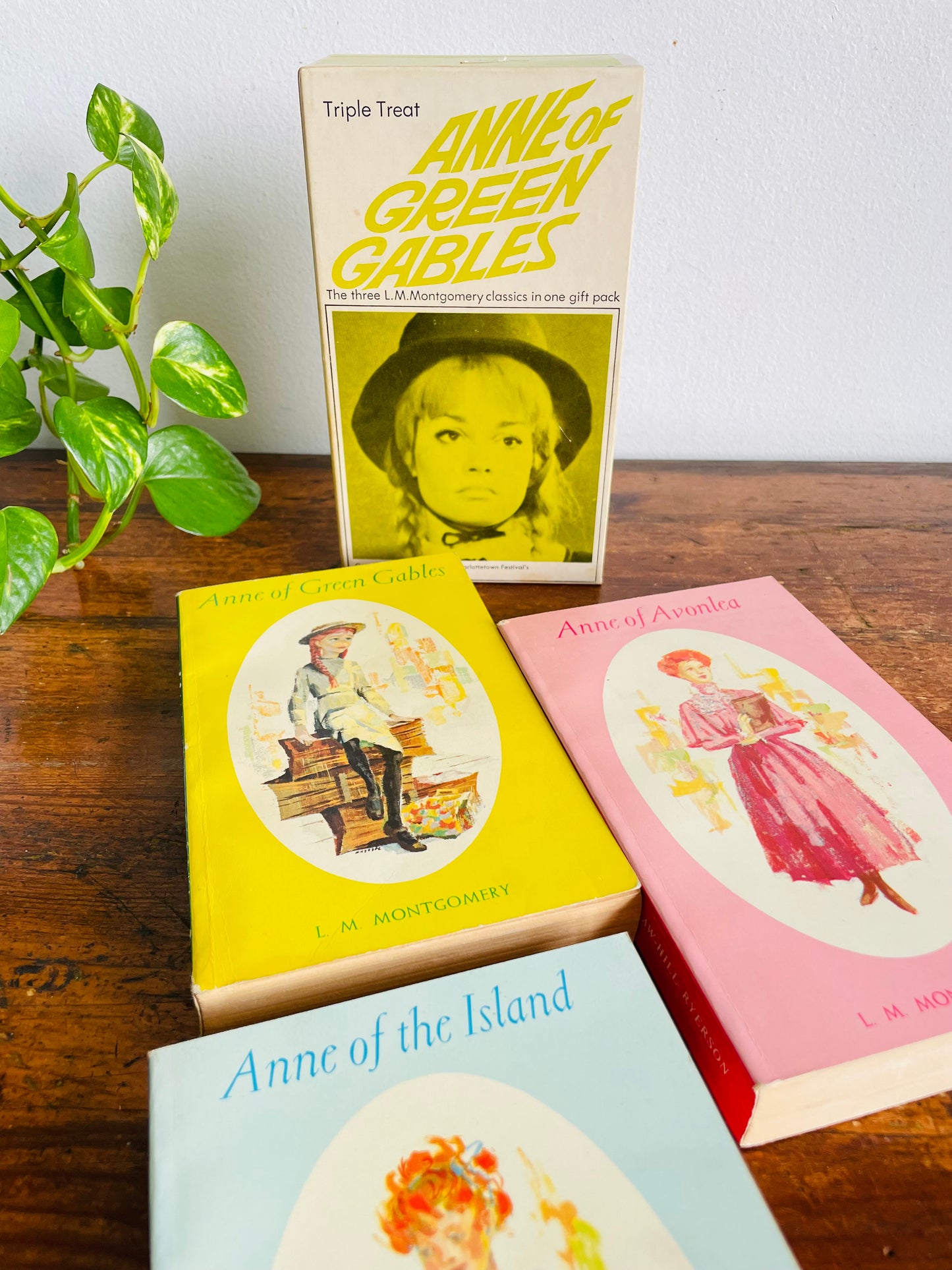 Vintage Anne of Green Gables Paperback Book Box Set - Includes 3 Books - Anne of Avonlea & Anne of the Island (1968)