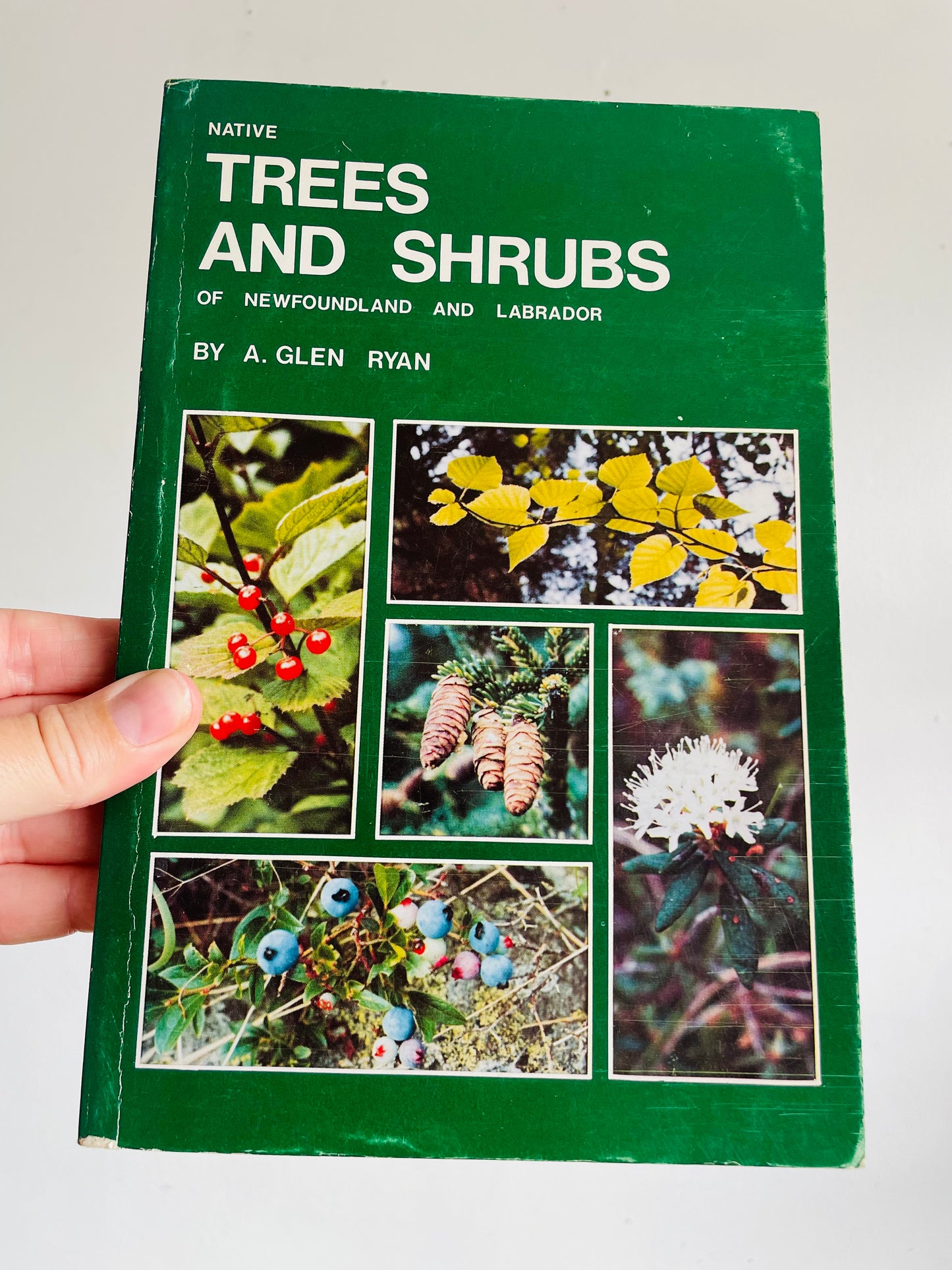 Vintage Native Trees And Shrubs of Newfoundland And Labrador Softcover Book by A. Glen Ryan (1978)