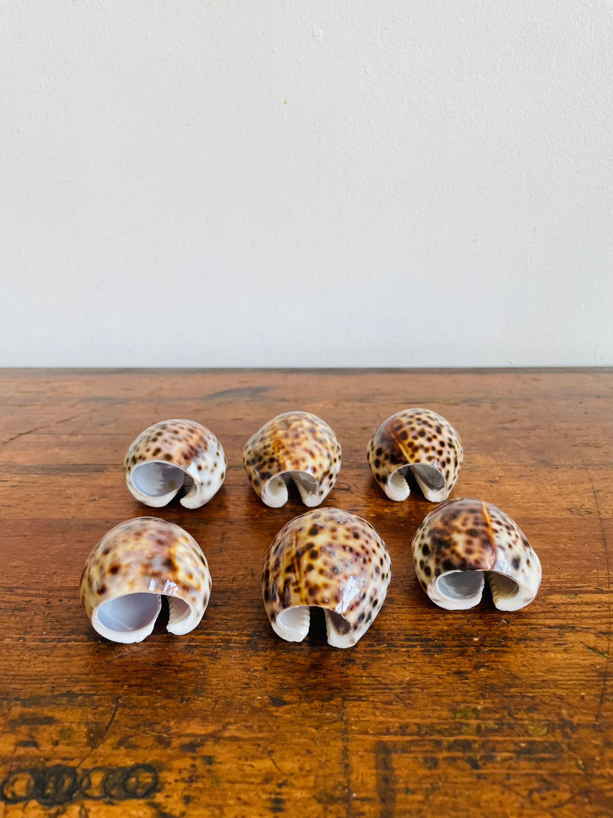 Vintage Carved Seashell Napkin Rings - Set of 6