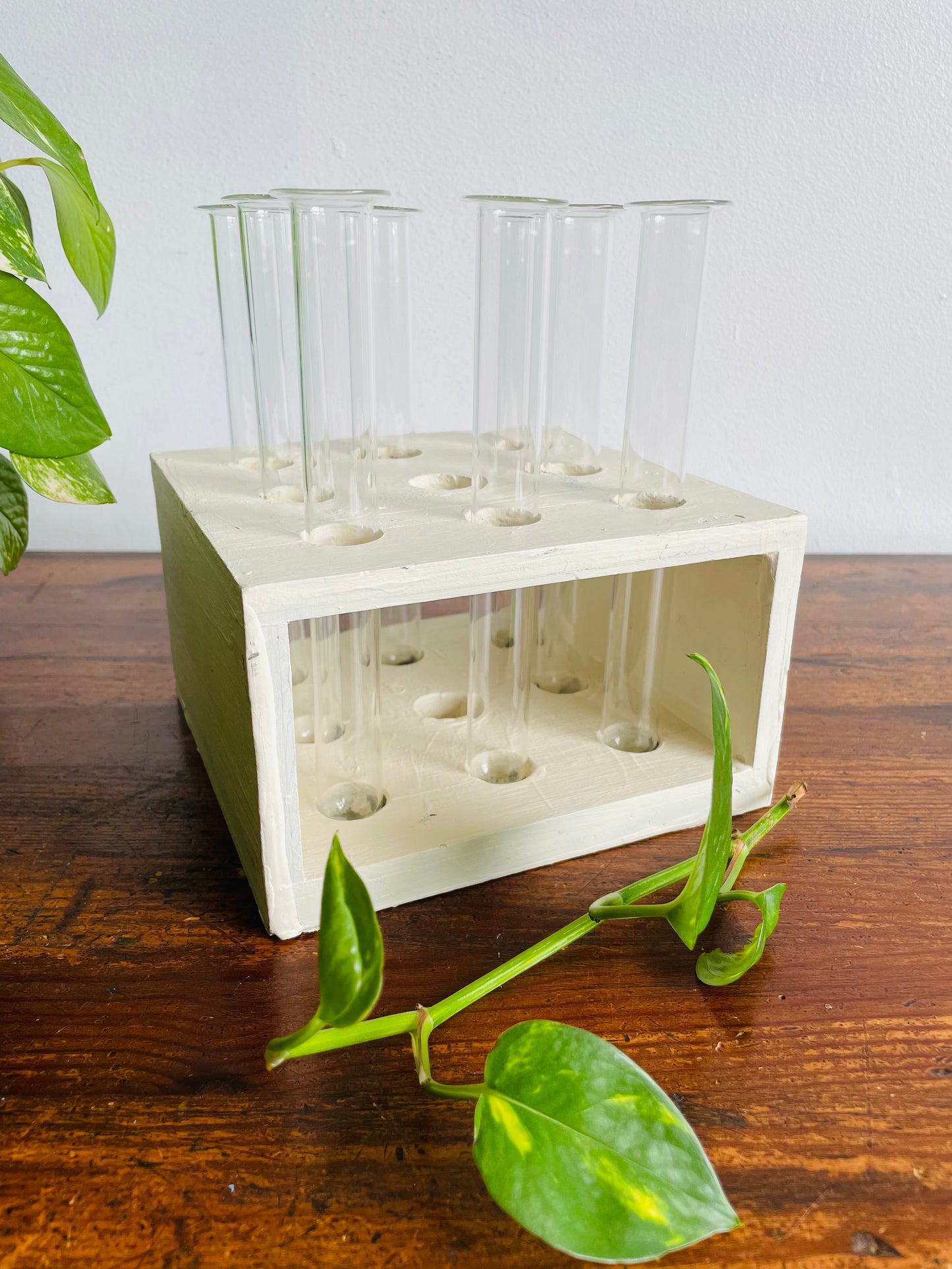 Handmade Wood Propagation Station with 8 Glass Test Tube Inserts