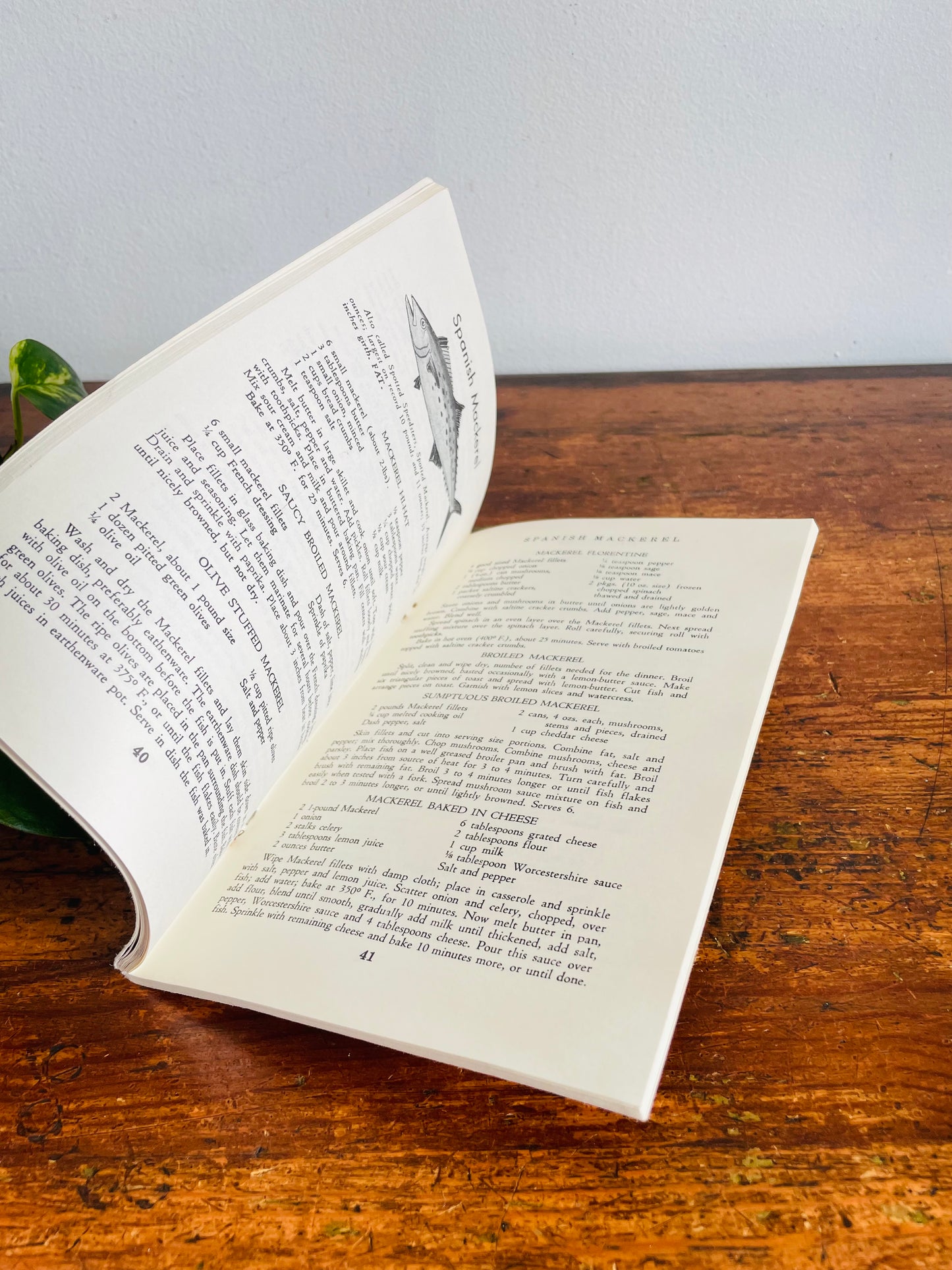 Vintage How To Cook Your Catch Softcover Recipe Cookbook by Rube Allyn (1982)