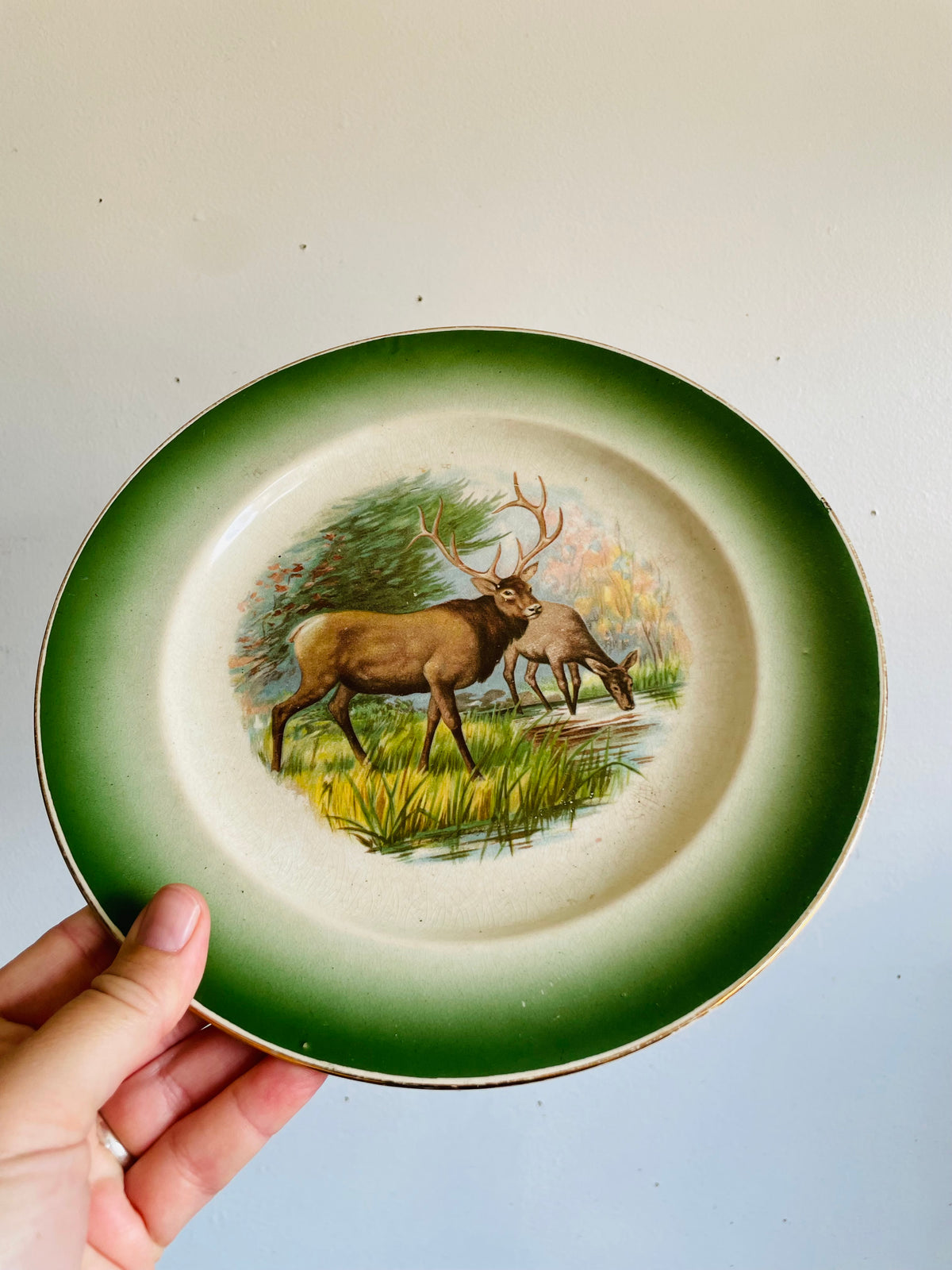 Antique Buffalo Pottery Plate with Elk in Forest Along Stream Nature Design - Includes Optional Plate Hanger