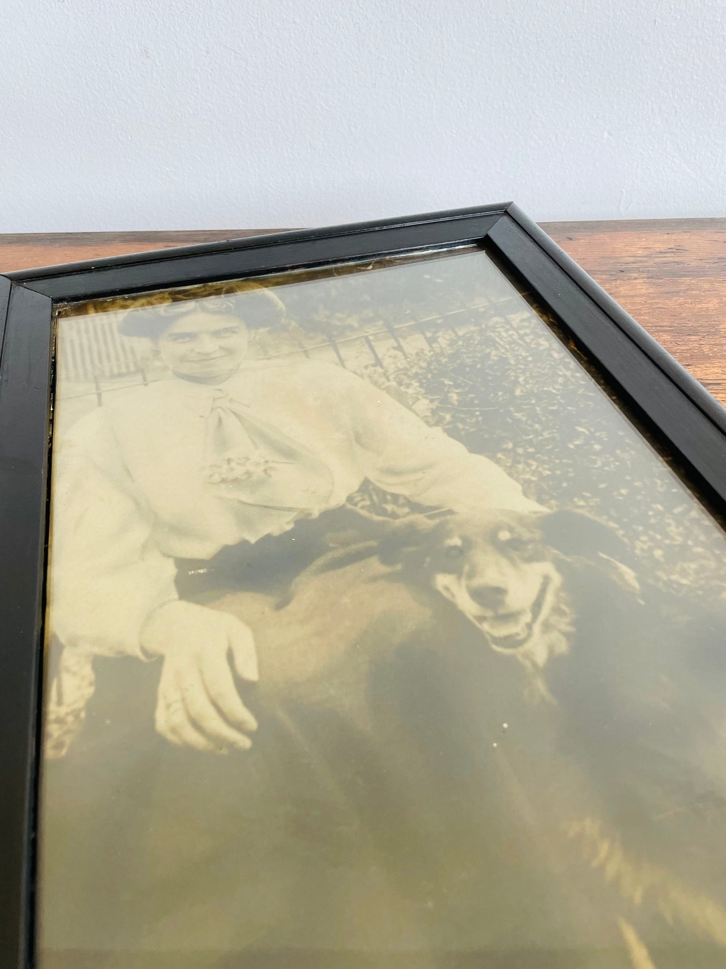 Antique Framed Sepia Photograph Picture of a Woman & Her Dog - Late 1800s / Early 1900s