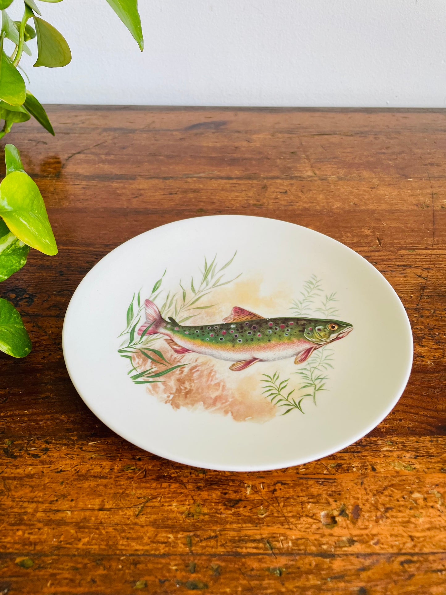 Vintage Burleigh Ironstone Trout Fish 7" Side Dish Plate - Staffordshire England - Includes Optional Wall Plate Hanger