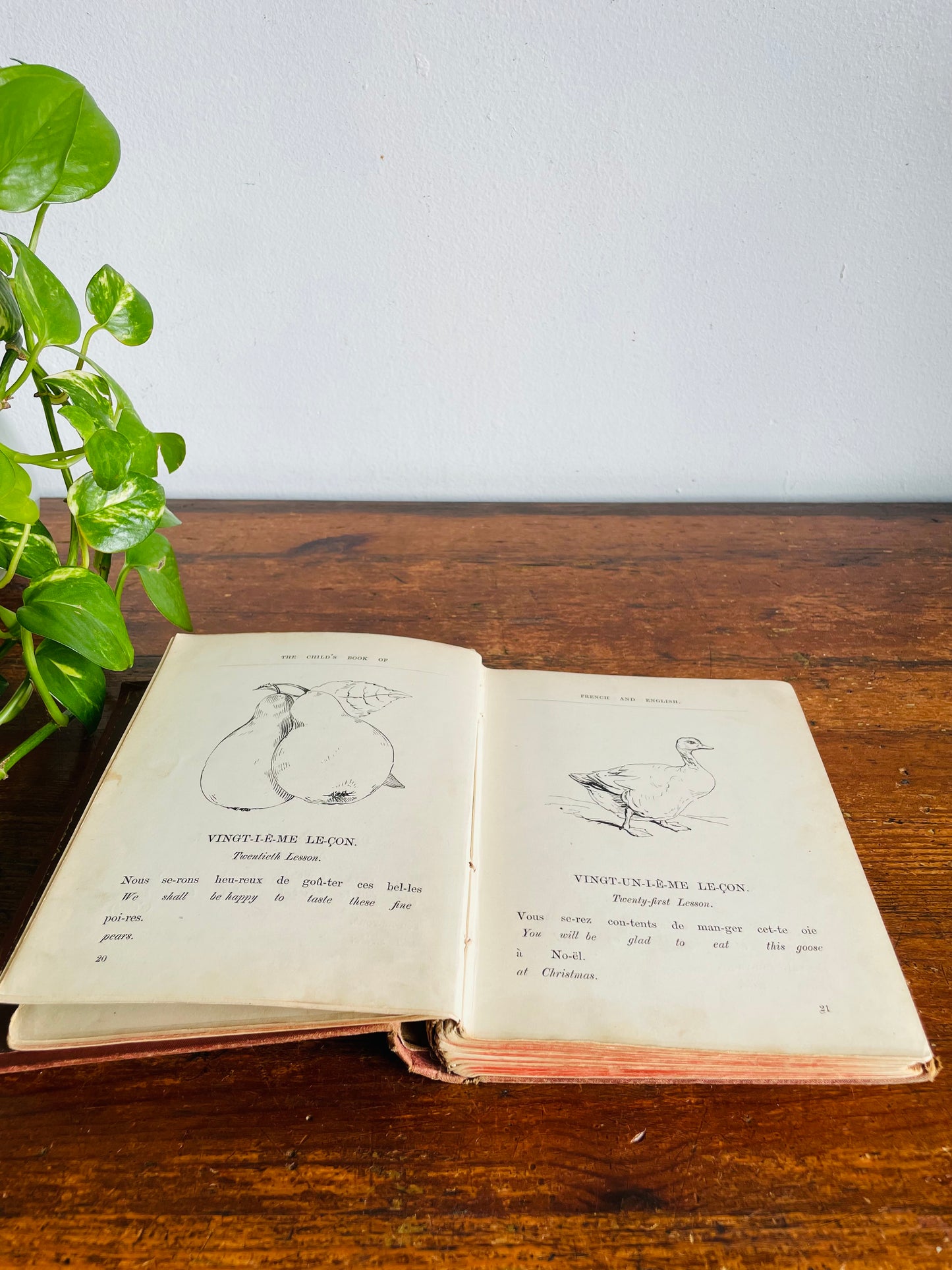 Vintage 1940s Child's Book of French & English Embossed Hardcover Book - Illustrated with 150 Engravings