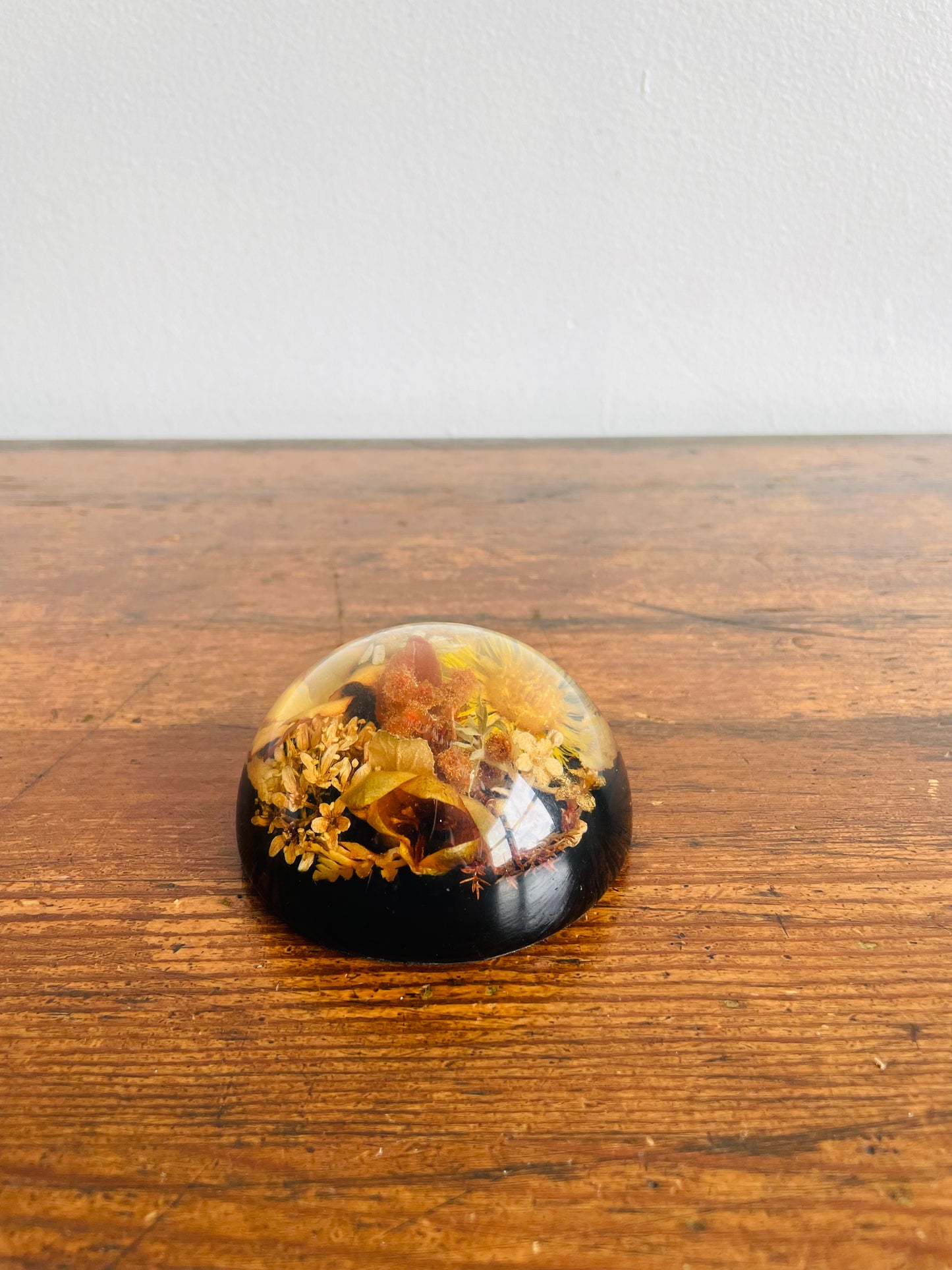 Preserved Dried Flowers Lucite Paperweight