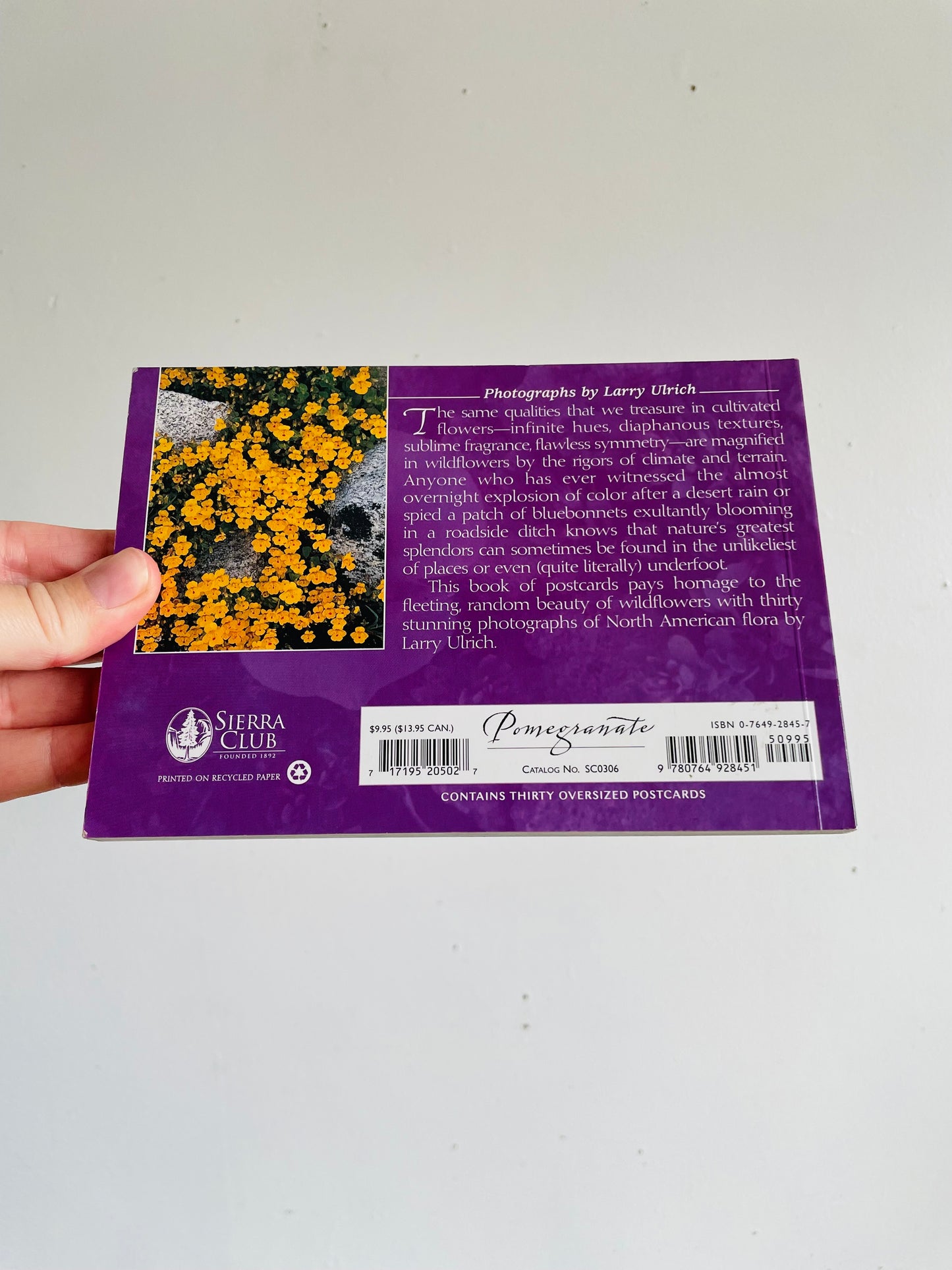 Vintage Sierra Club Book of Wildflower Postcards - Larry Ulrich Photography (2004) - Includes 23 Flower Postcards