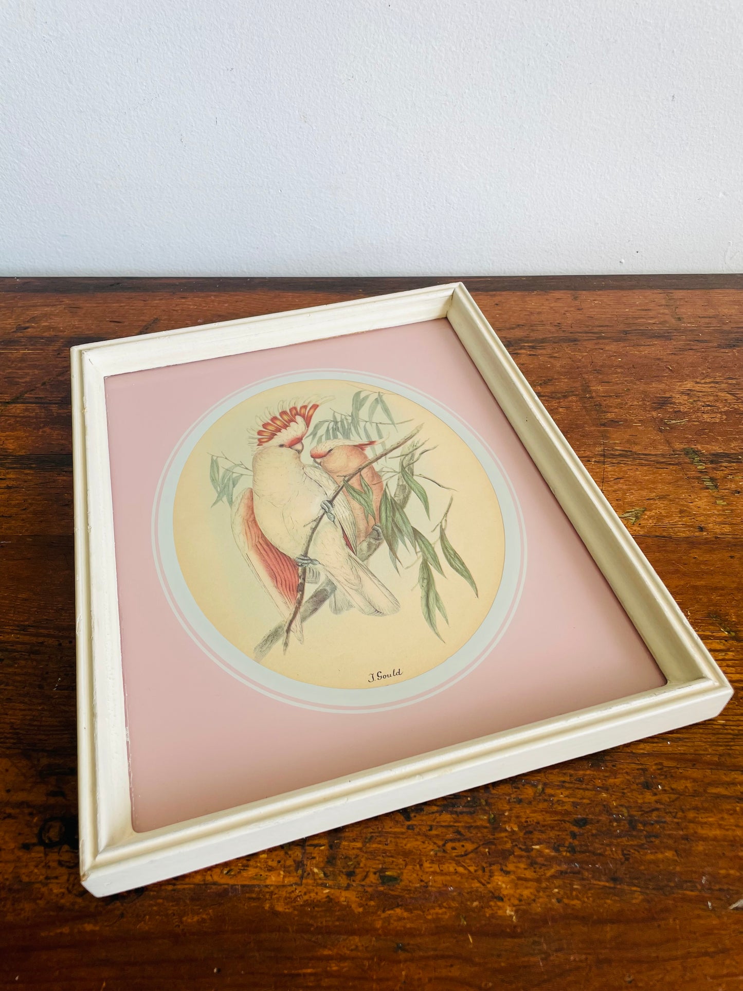 Vintage Framed Print Picture of Pink Leadbeater's Cockatoo Birds - The Birds of Australia - Elizabeth Gould