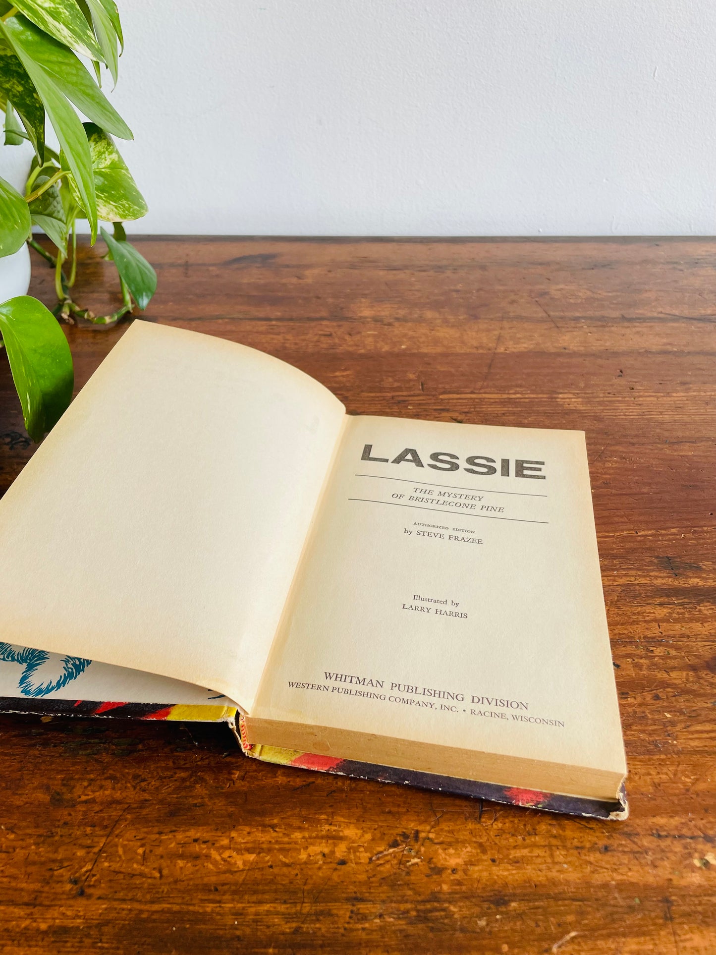 Lassie The Mystery of Bristlecone Pine Hardcover Book (1967)