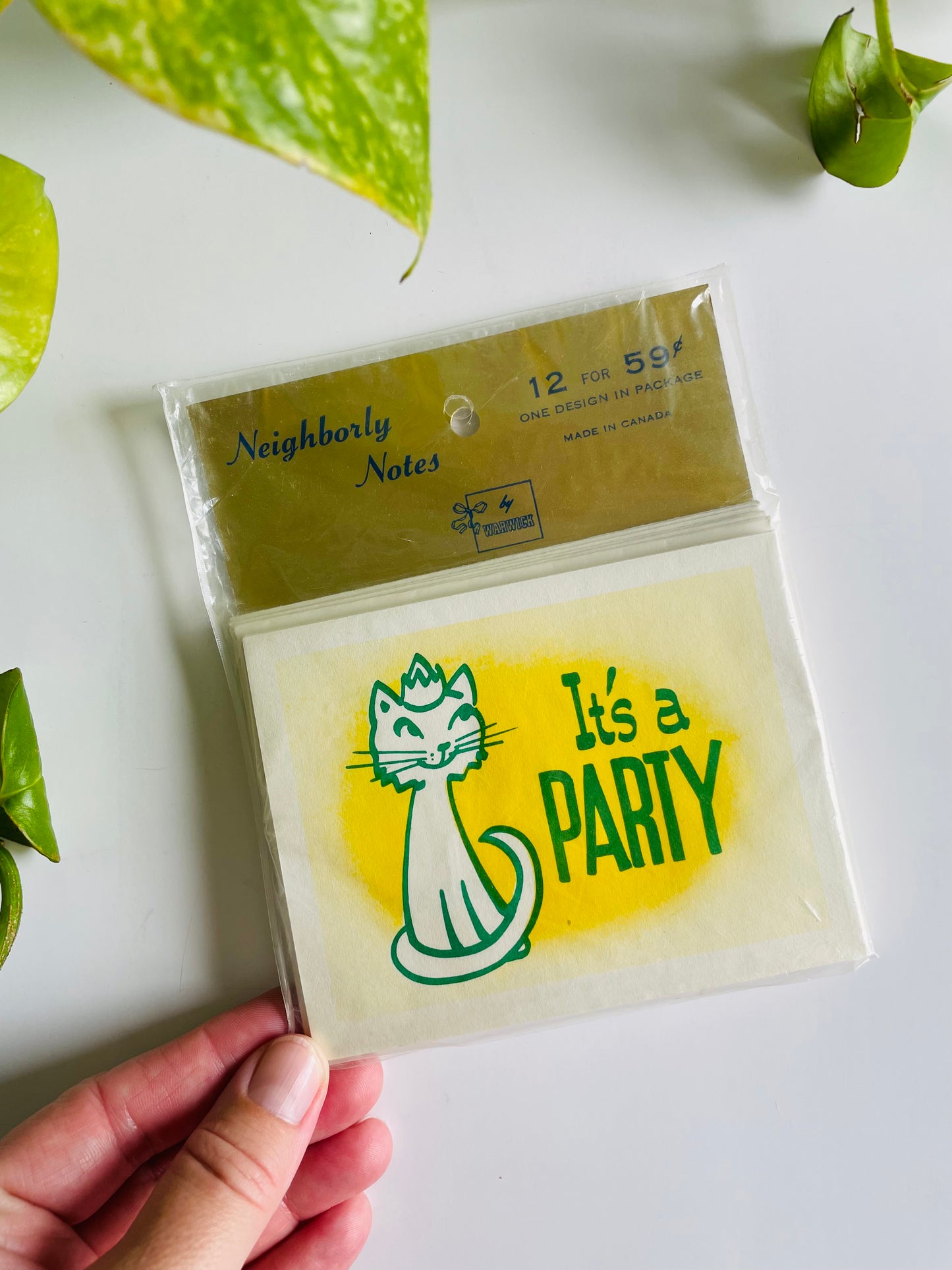 Vintage Brand New Package of 12 Invitation / Invite Cards - It's a Party - Neighborly Notes by Warwick - Made in Canada