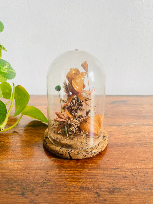 Vintage Dried Flower Arrangement in Cloche Case with Cork Base - Ardmore Imports - Made in Canada