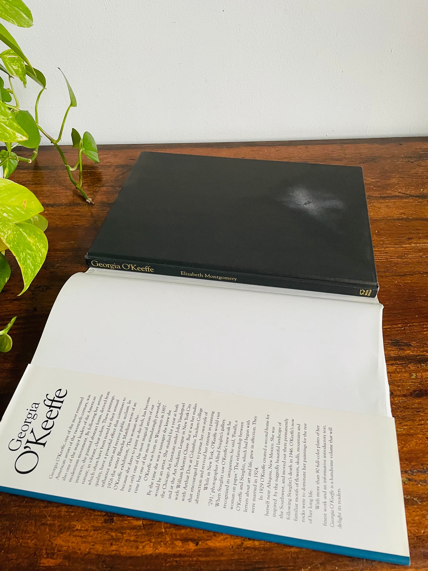 Vintage Georgia O'Keeffe Hardcover Coffee Table Book by Elizabeth Montgomery (1992)