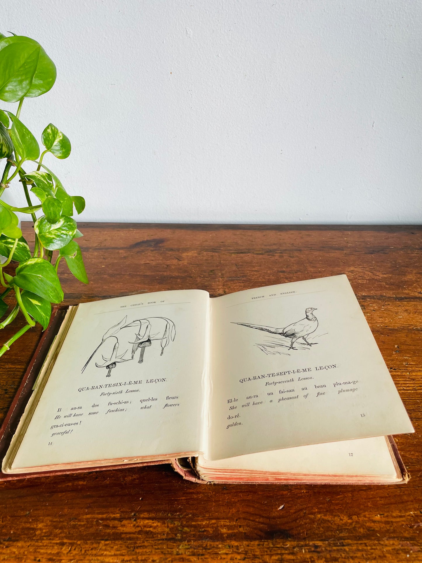 Vintage 1940s Child's Book of French & English Embossed Hardcover Book - Illustrated with 150 Engravings