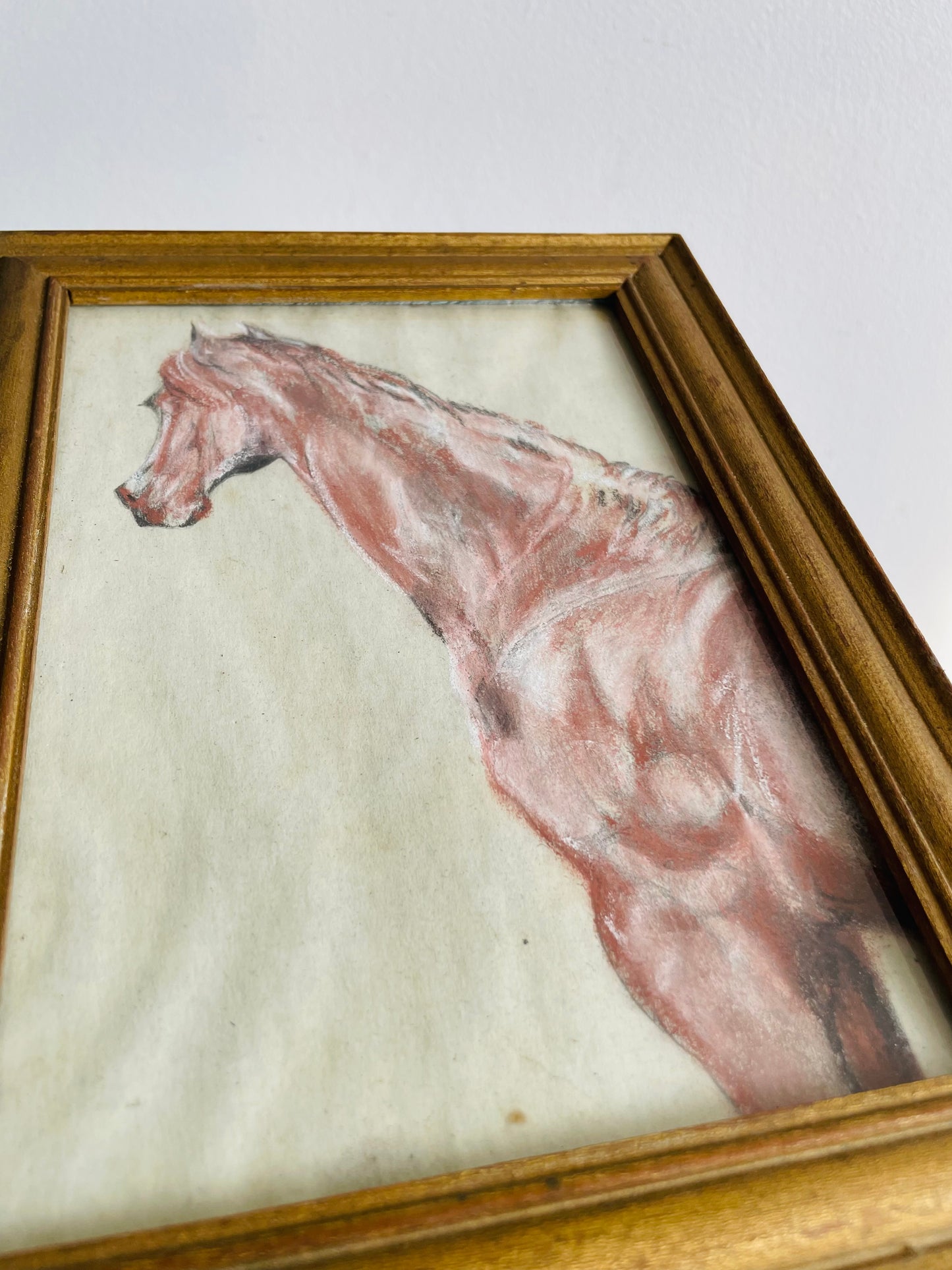 Original Art Framed Pastel Sketch of Horse