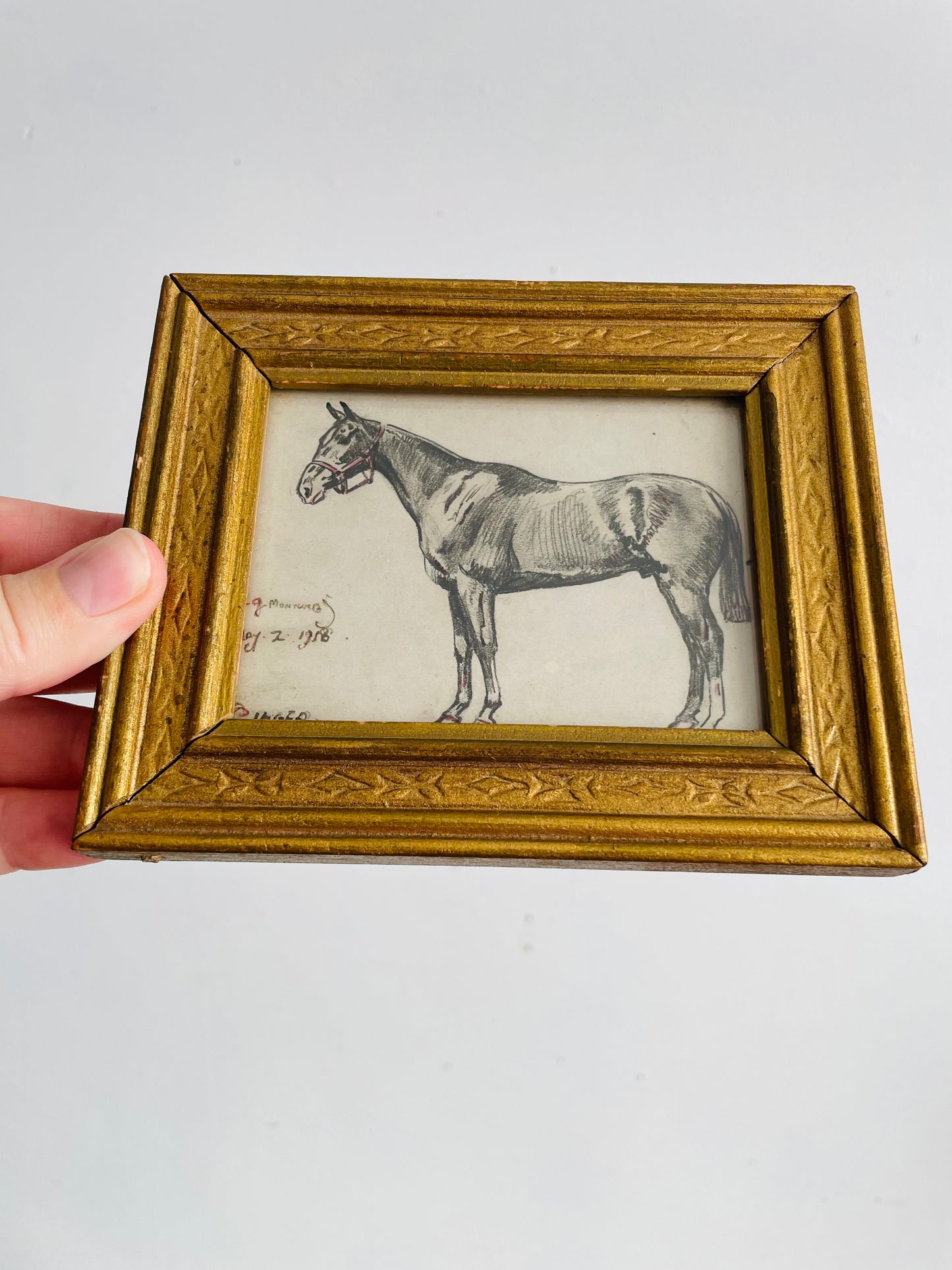 Antique Original Art Miniature Sketch Pencil Drawing Picture in Gold Wood Frame - Artist Signed - Dad's Horse - May 2, 1918