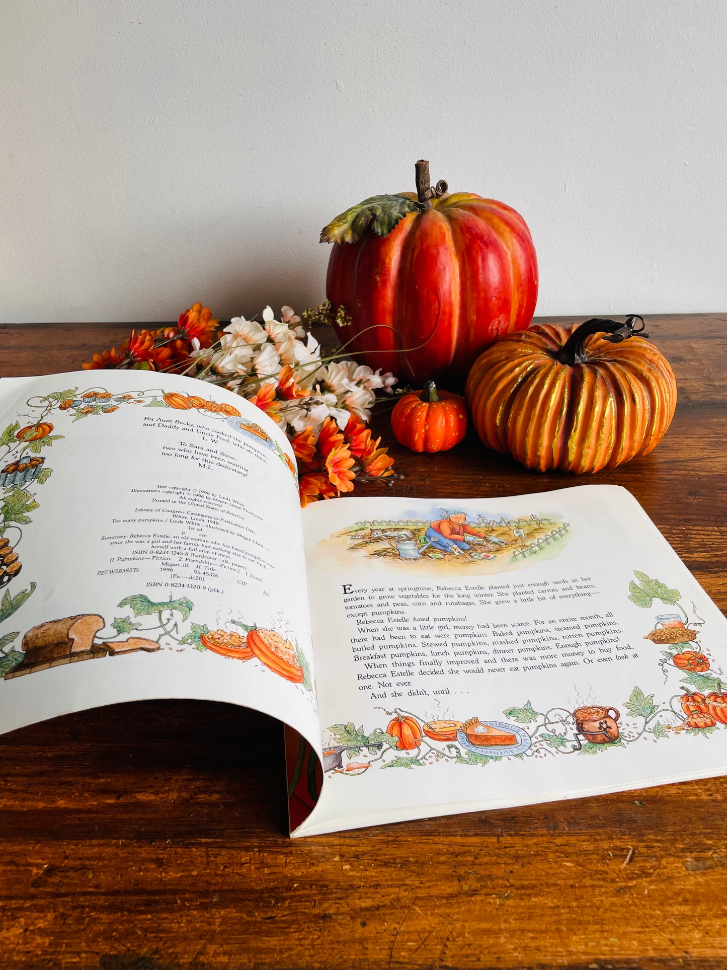 Too Many Pumpkins Book by Linda White & Megan Lloyd (1996)