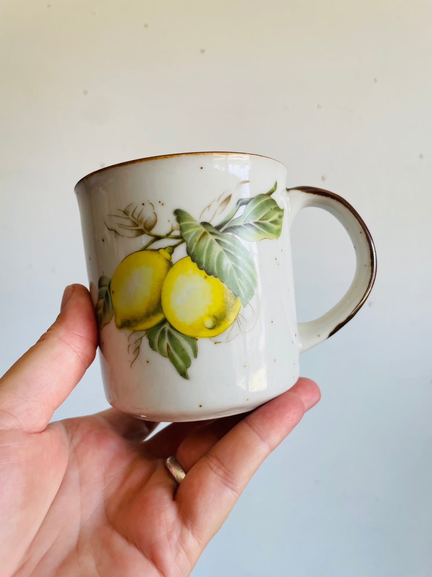 Vintage Speckled Fruit Mugs with Strawberries & Lemons - Made in Japan - Set of 2