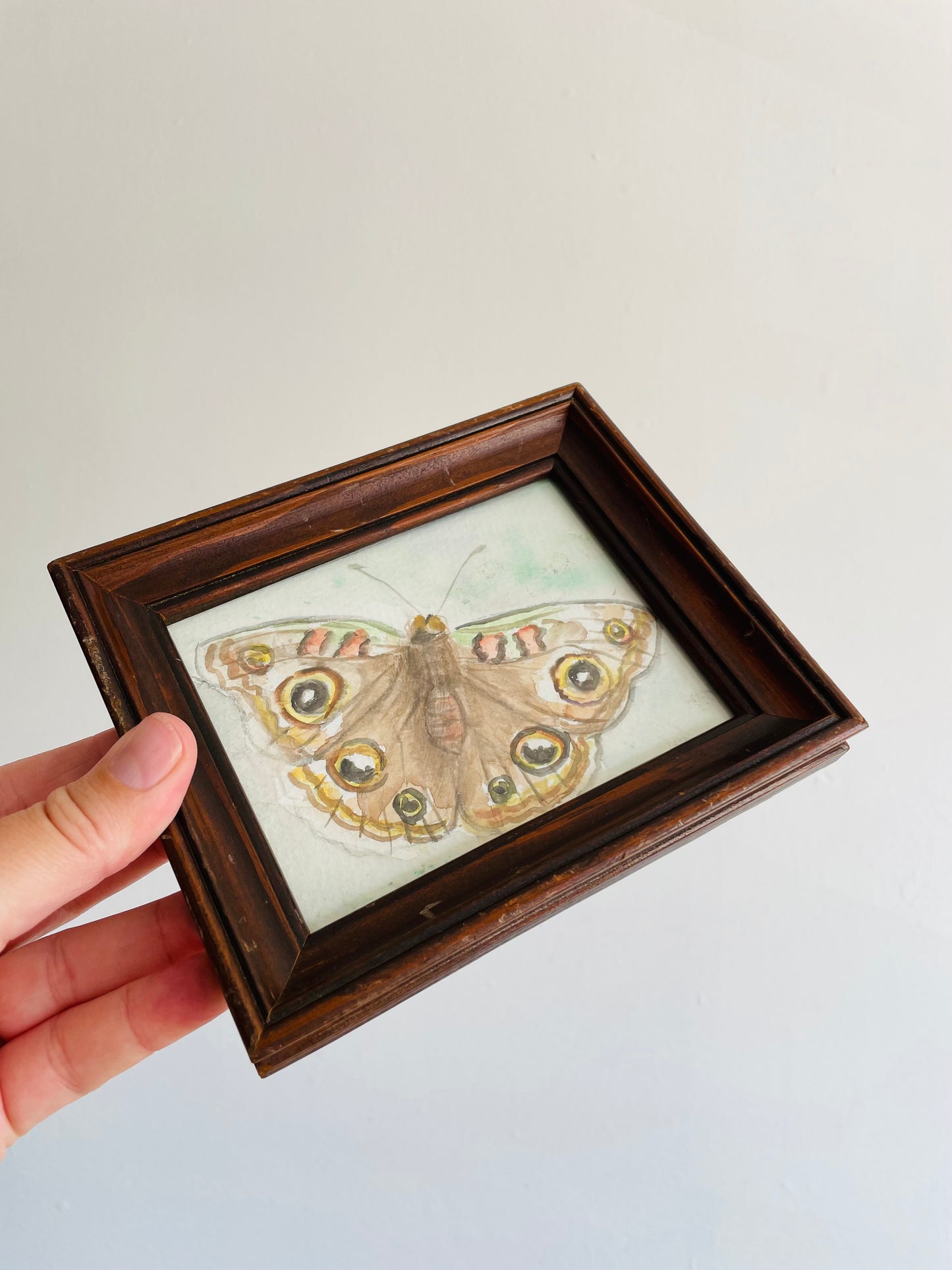 Original Art - Small Watercolour Painting of a Moth