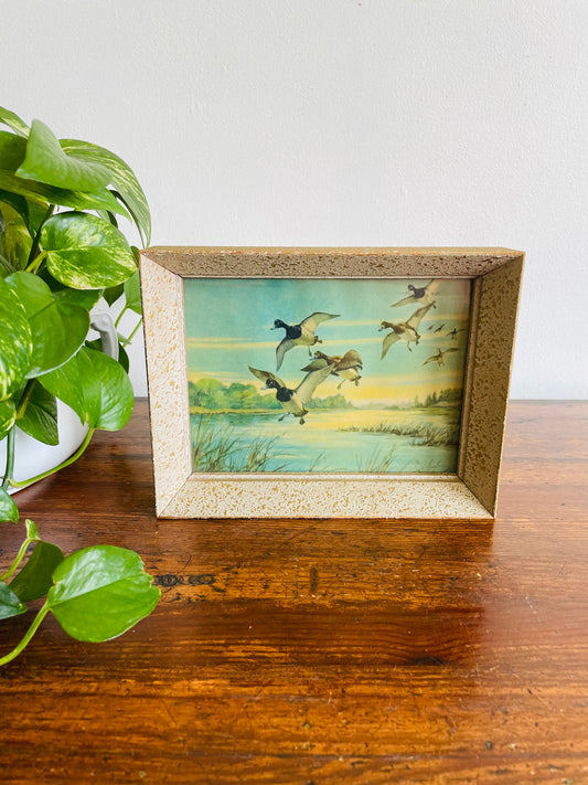 Framed Lithograph Print of Ducks in Flight & Landing in Pond (1958)