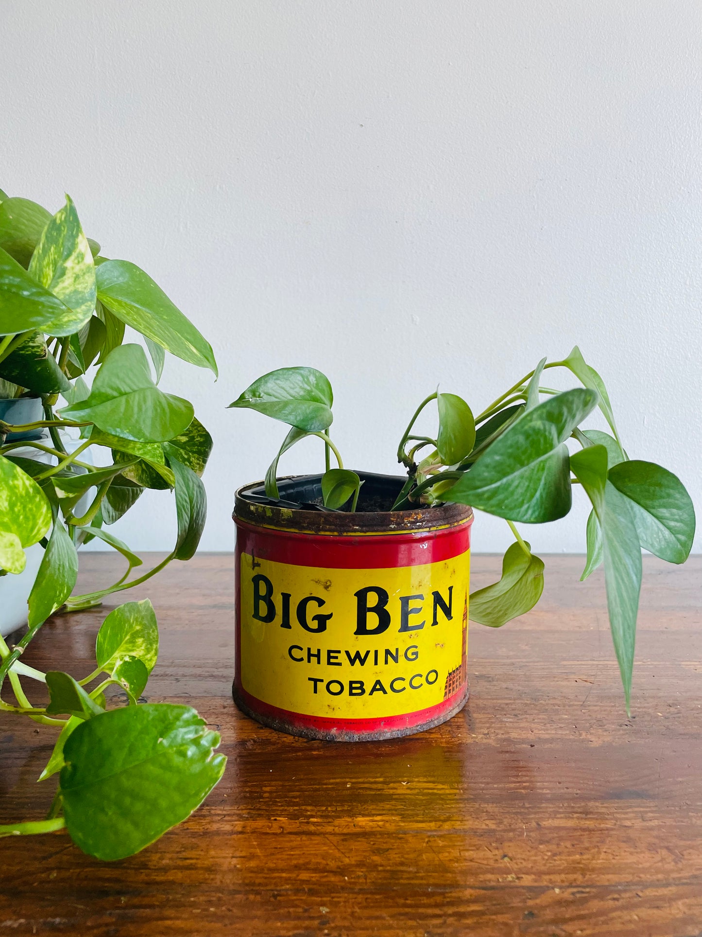 Big Ben Plug Chewing Tobacco Advertising Tin - Manufactured by Imperial Tobacco Co. of Canada Limited Montreal-Granby