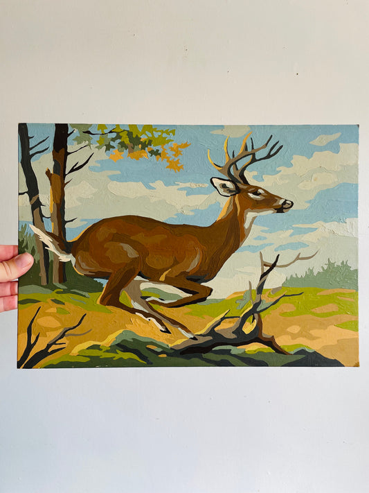 Vintage 1960s Paint by Number (PBN) Picture on Board of Deer Running Through Field - 10" x 14"