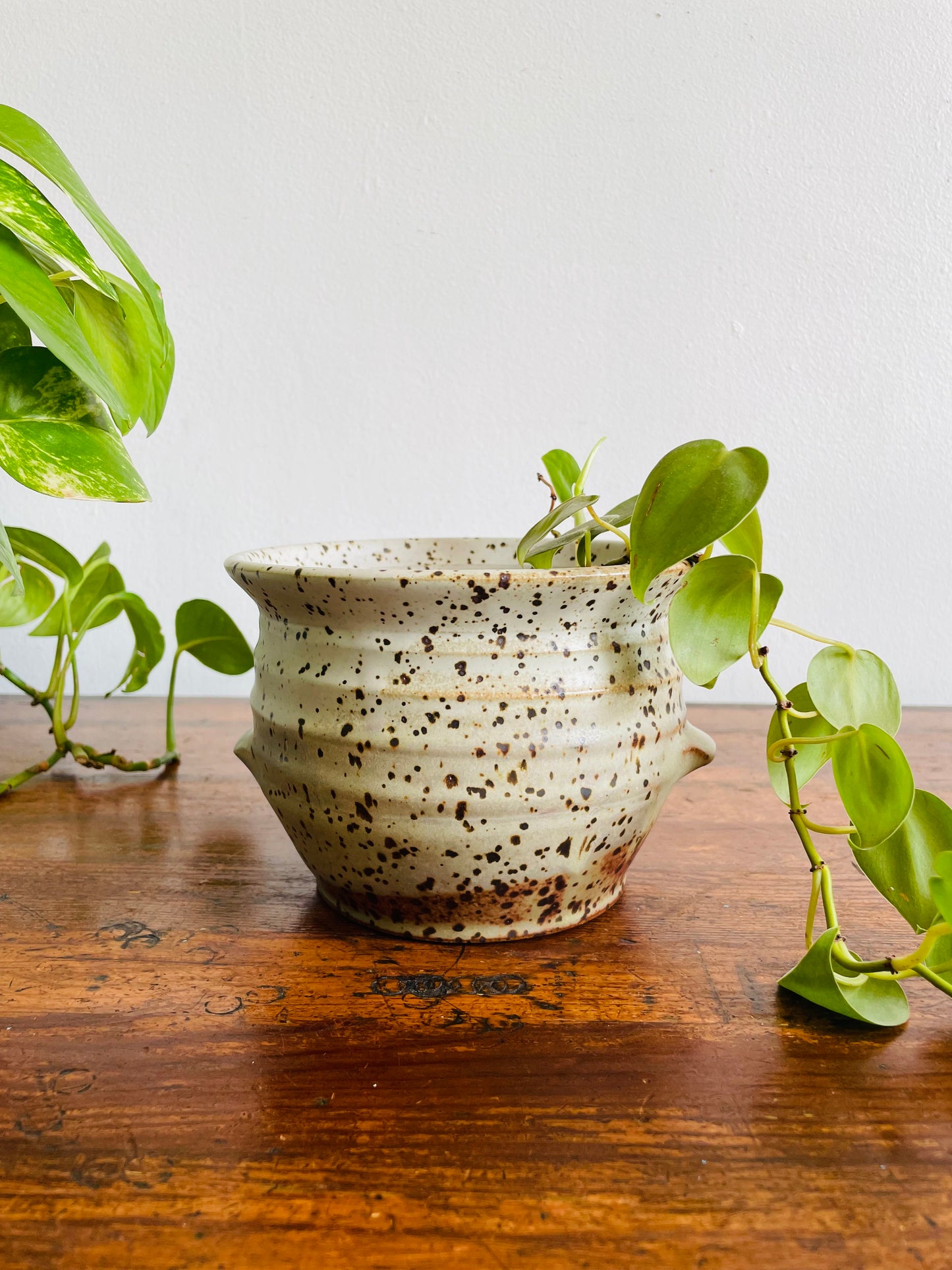 Studio Pottery Speckled Planter Pot with Groove Handles