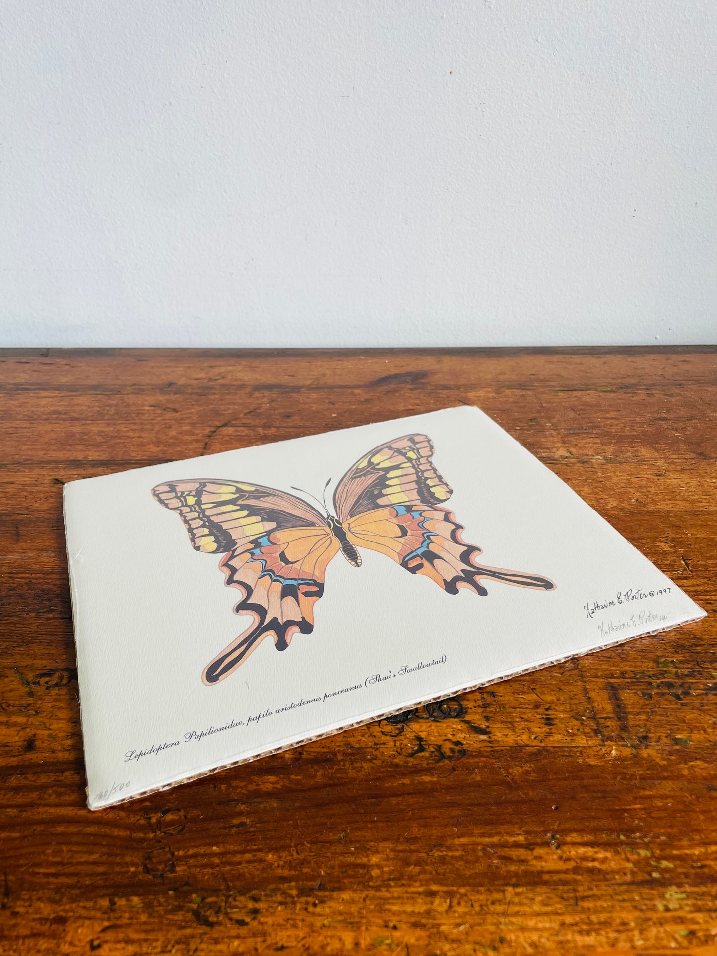 Vintage 1997 Pencil Signed & Numbered Print of Orange Butterfly by Niagara Artist Katharine E. Porter - Schaus' Swallowtail Species