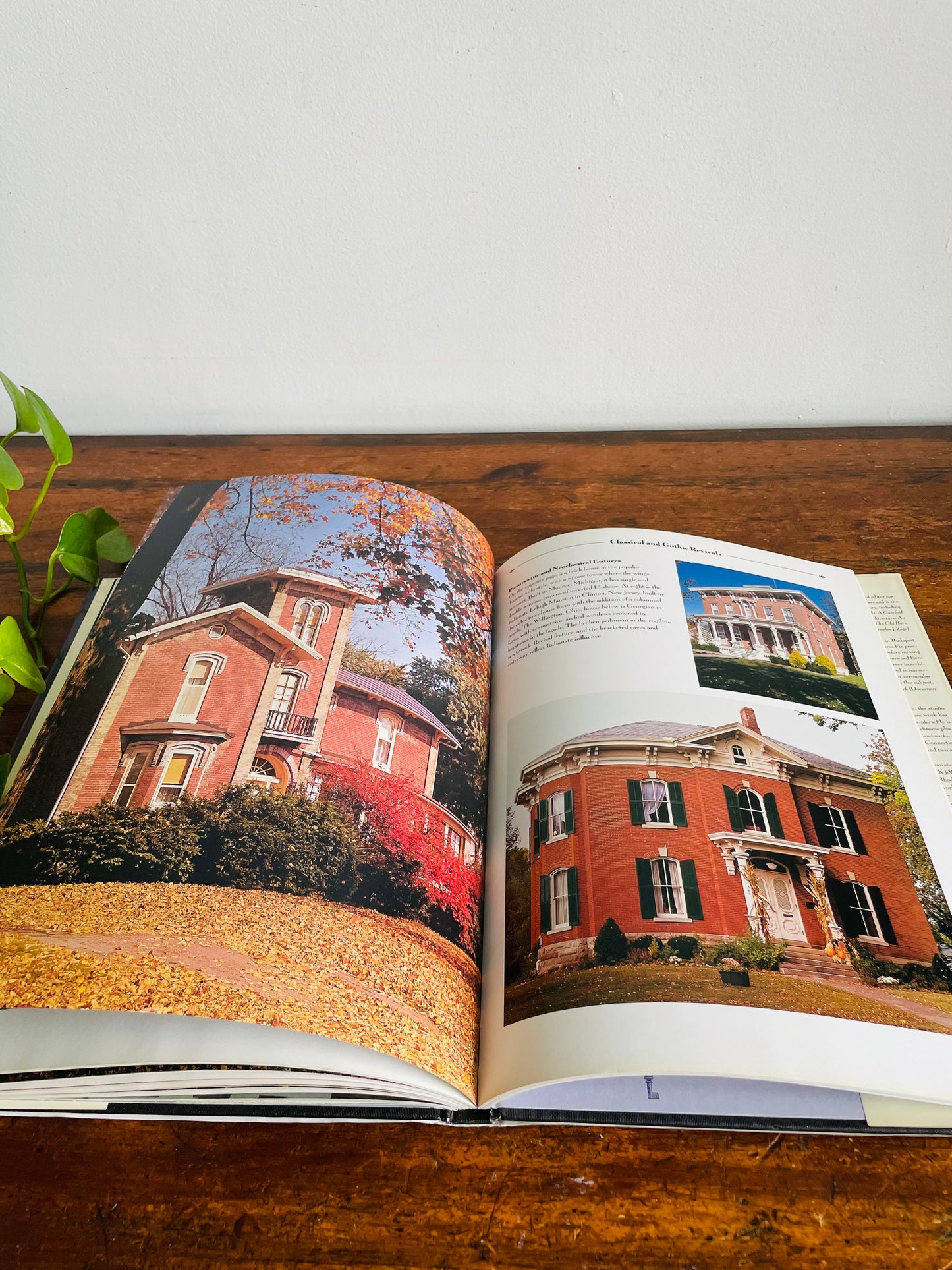 Vintage The Old Houses Book Hardcover Coffee Table Book by Robin Langley Sommer (1999)