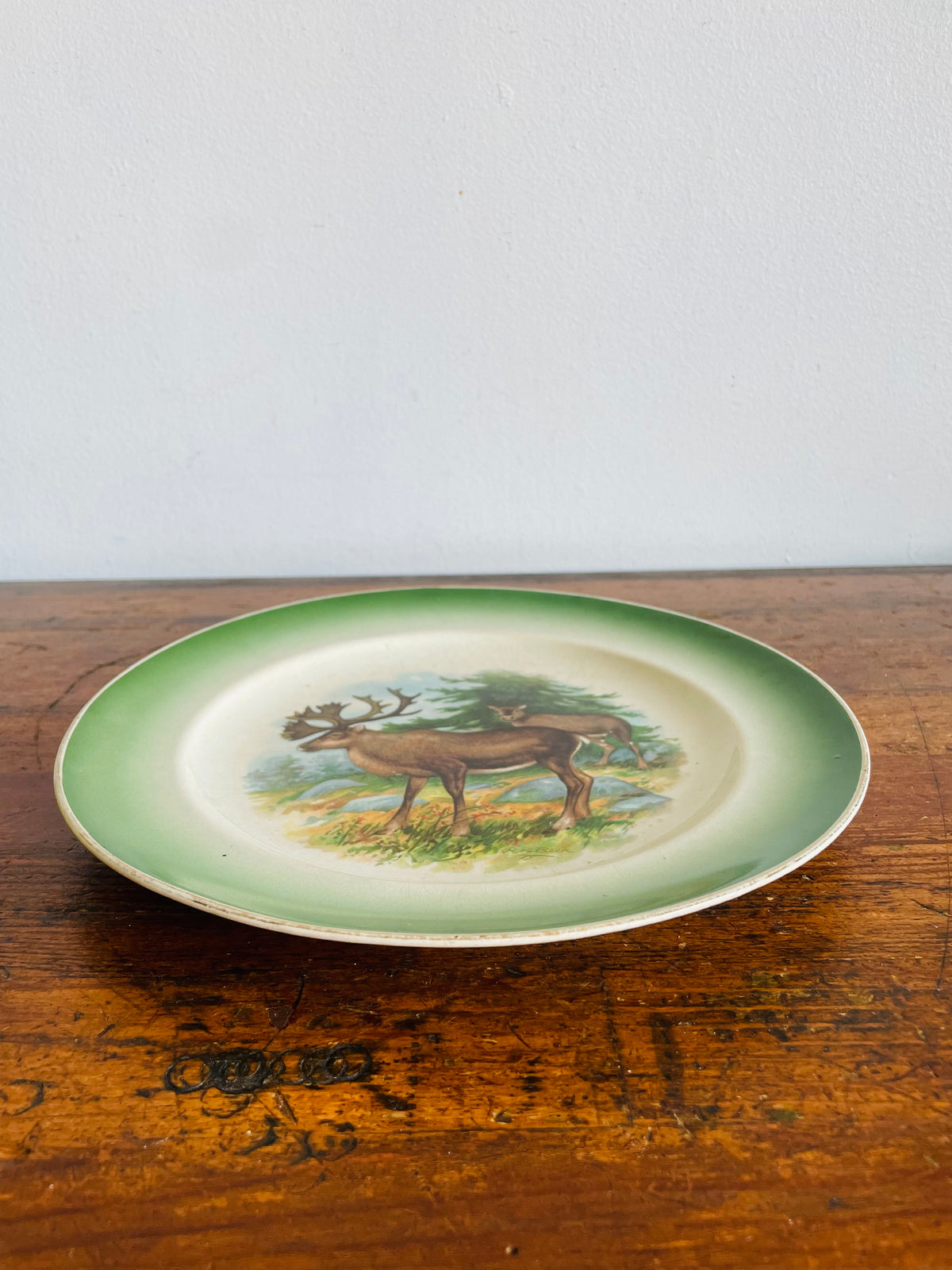 Antique Buffalo Pottery Plate with Caribou in Forest Nature Design - Includes Optional Plate Hanger