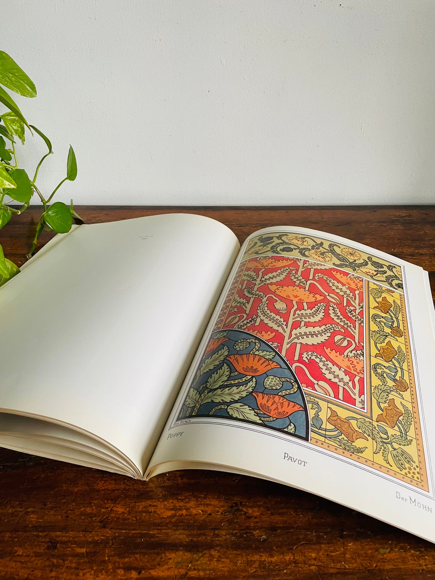 Vintage Art Nouveau Floral Designs Book by Eugene Grasset - With 40 Full Colour Plates (1988)