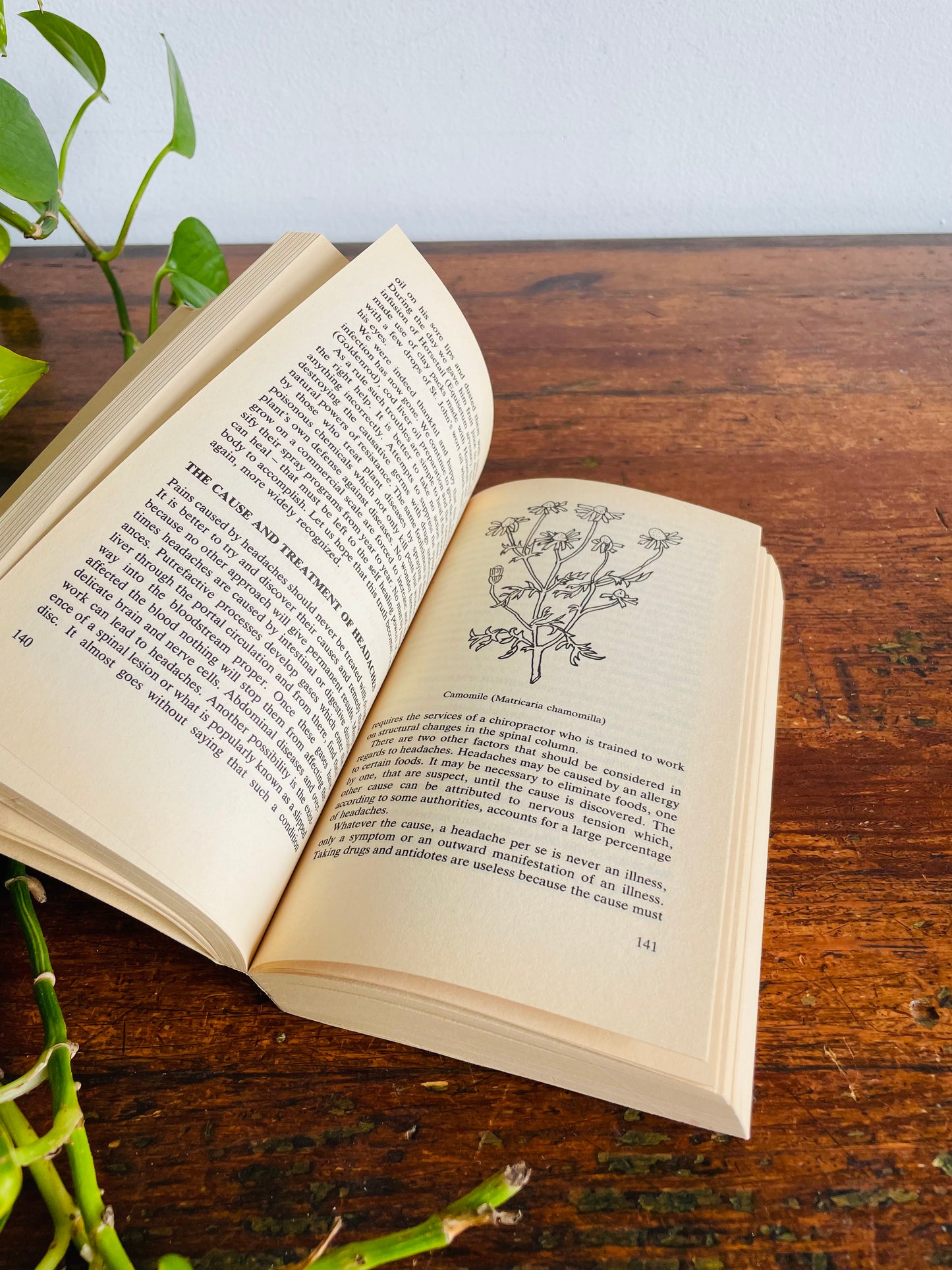 Vintage Swiss Nature Doctor Paperback Book by A. Vogel (1980) - An Encyclopedic Collection of Helpful Hints Gathered from the Swiss Folklore of Natural Healing